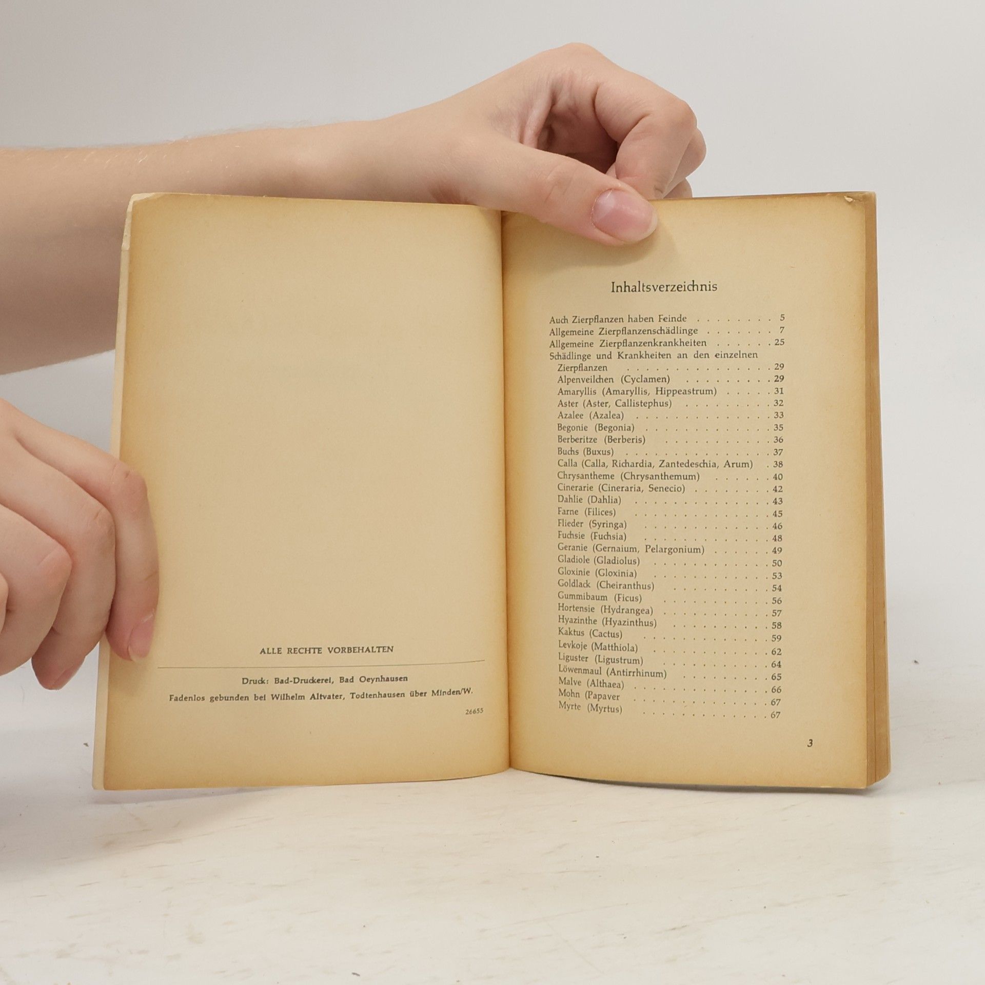 Autorenkollektiv Schädlingsbekämpfung an Zierpflanzen