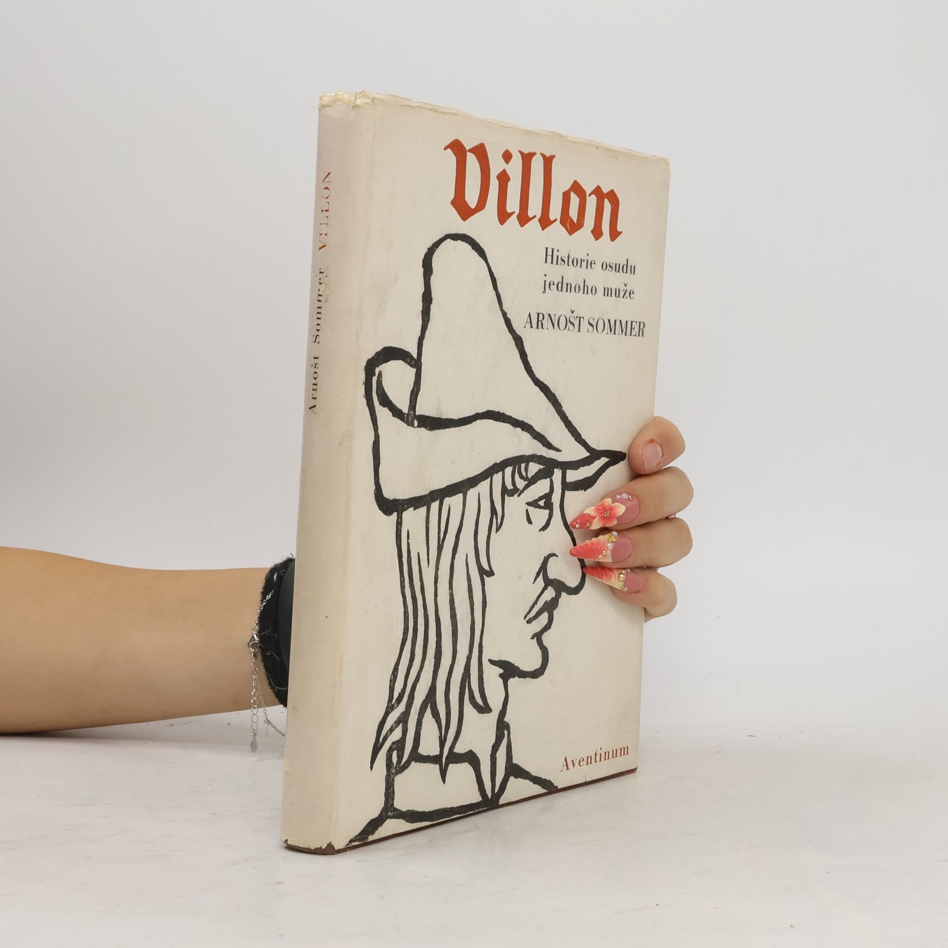 Ernst Sommer Villon. Nástin doby a osudu jednoho muže