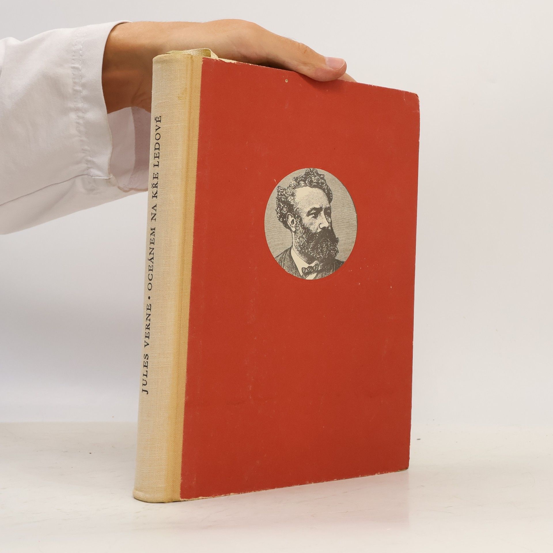 Jules Verne Oceánem na kře ledové
