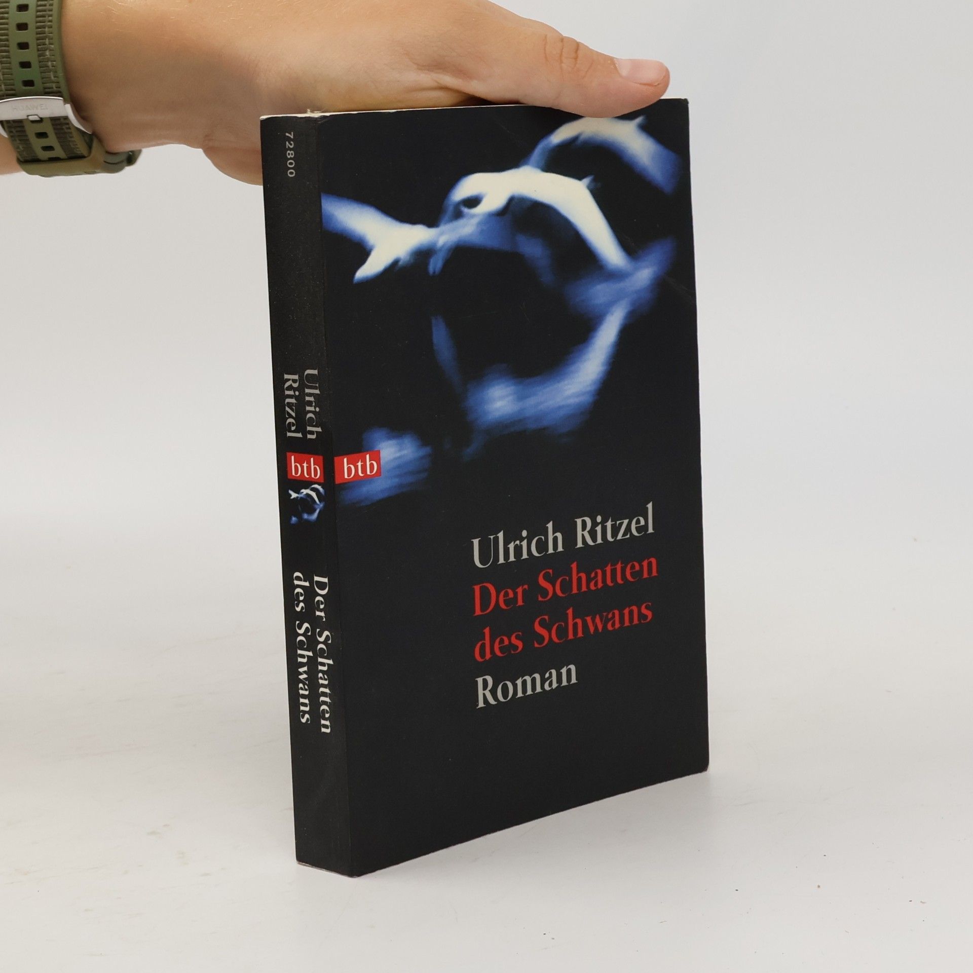 Ulrich Ritzel Der Schatten des Schwans