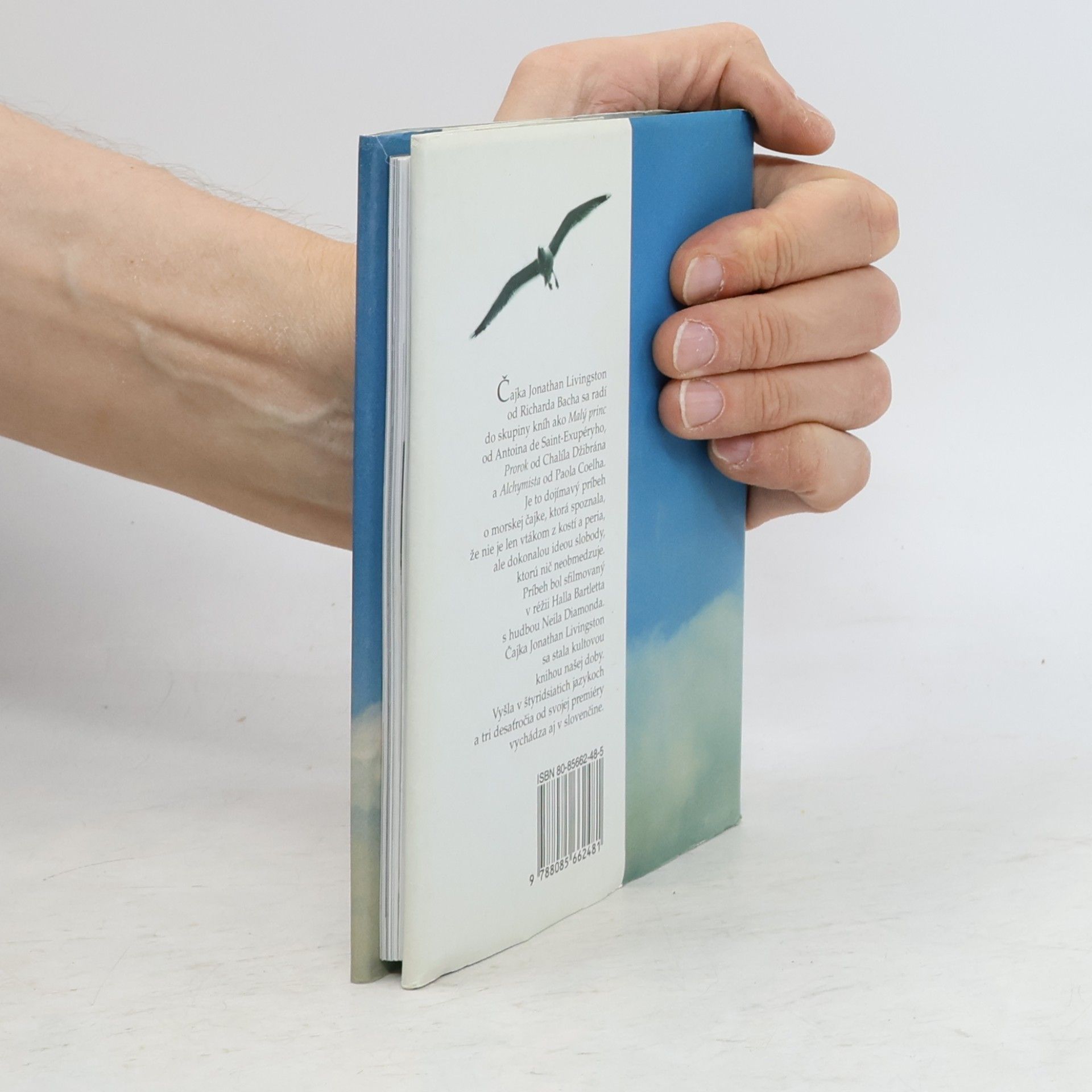 Richard Bach Čajka Jonathan Livingston