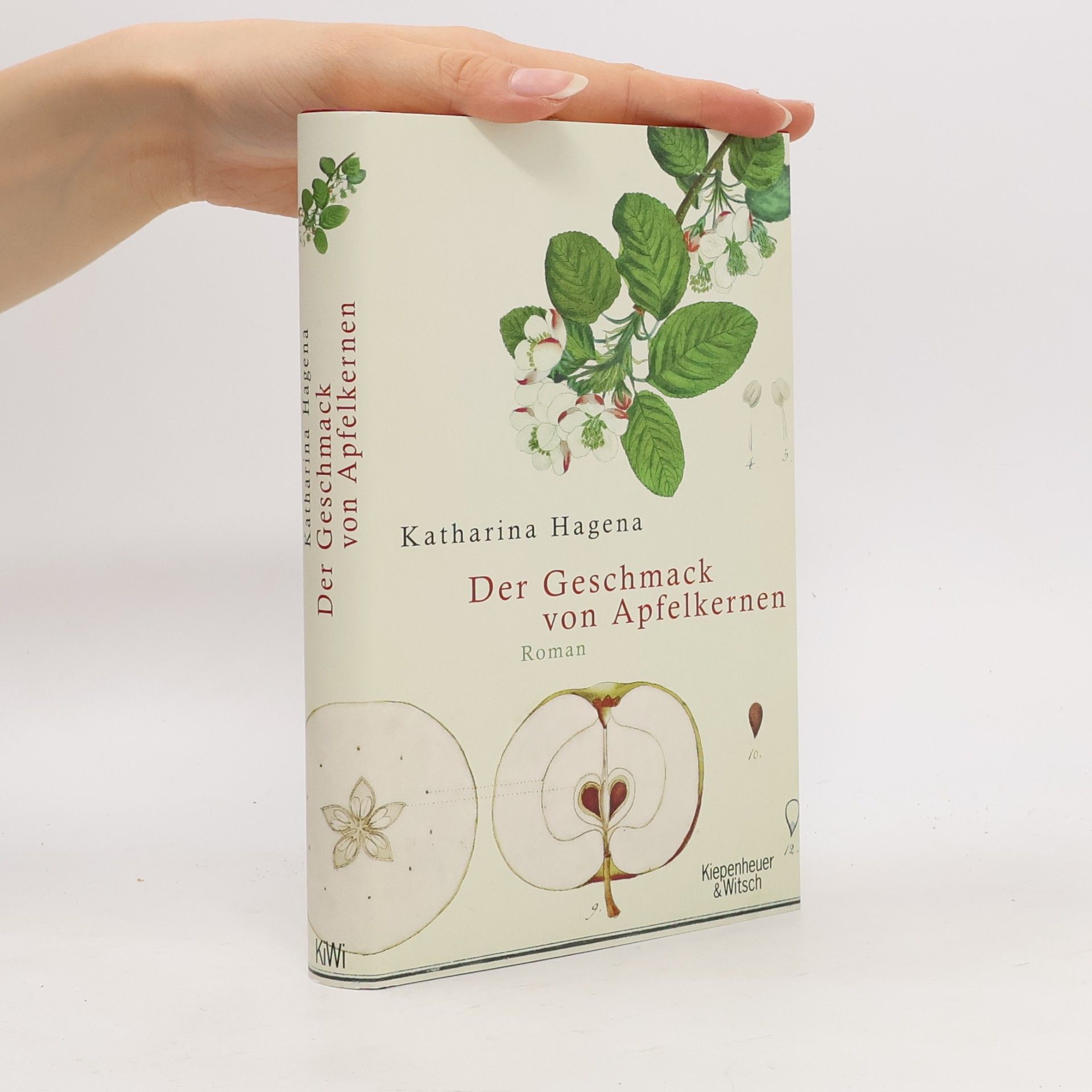 Katharina Hagena Der Geschmack von Apfelkernen