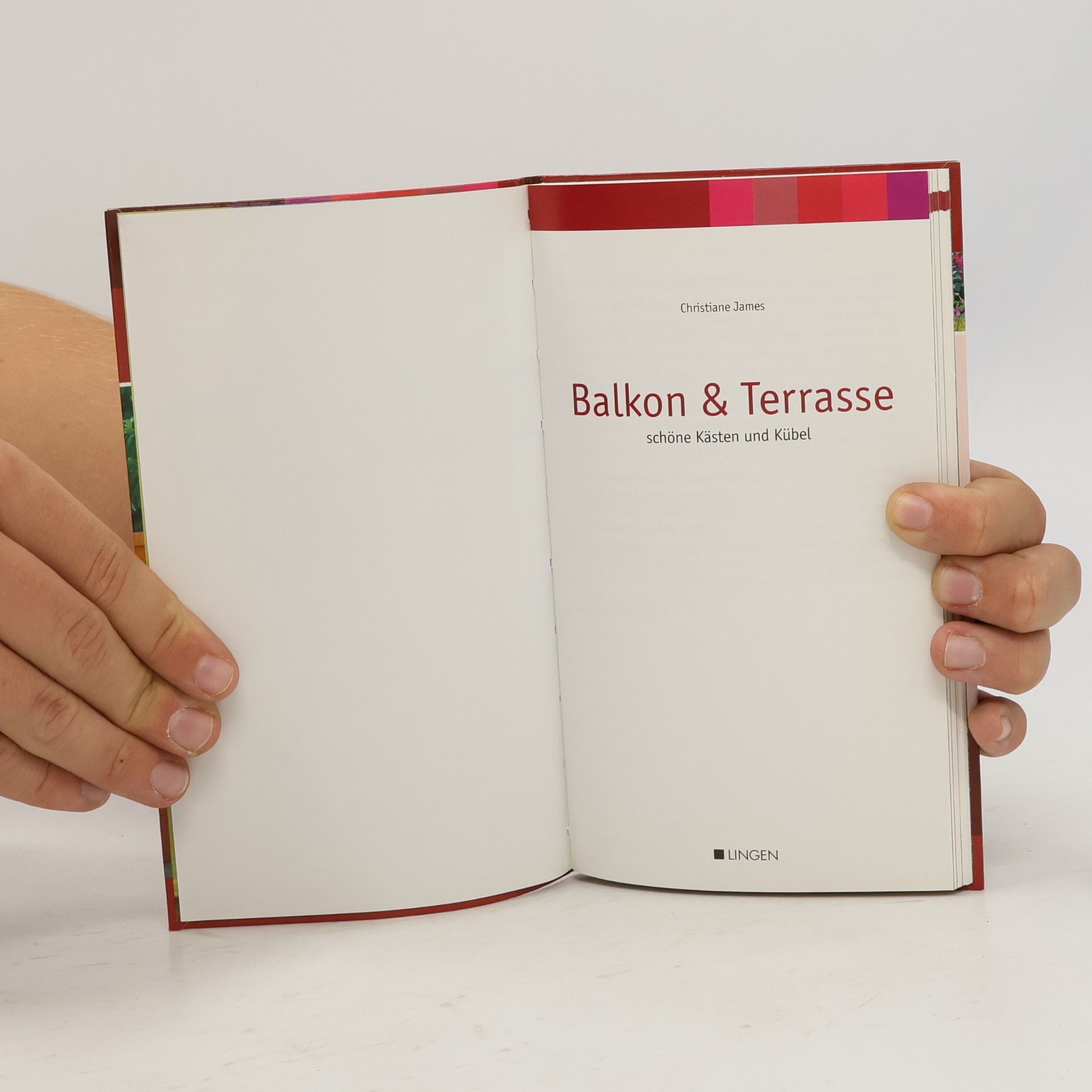 Autorenkollektiv Balkon & Terrasse schöne Kästen und Kübel