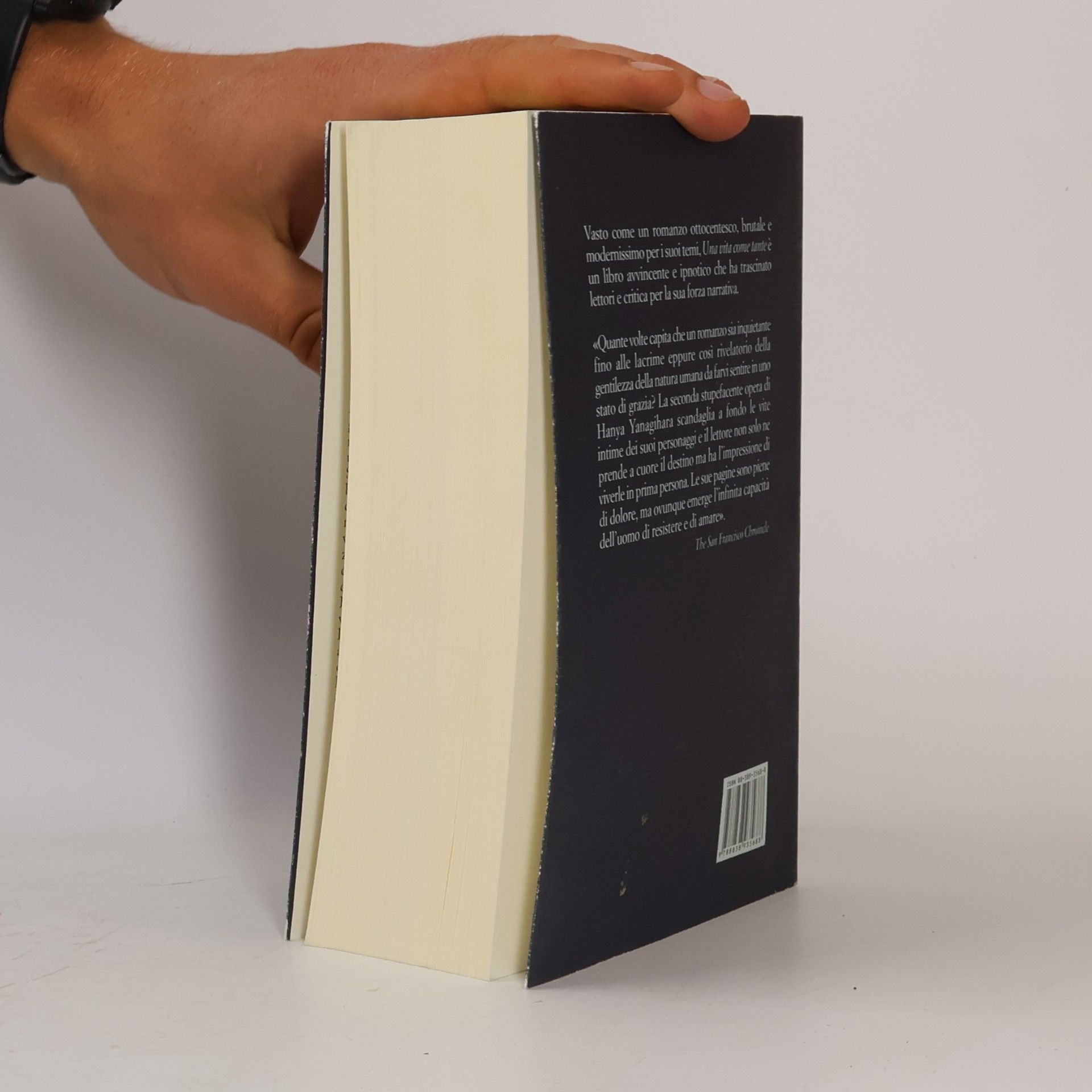 Hanya Yanagihara Una vita come tante