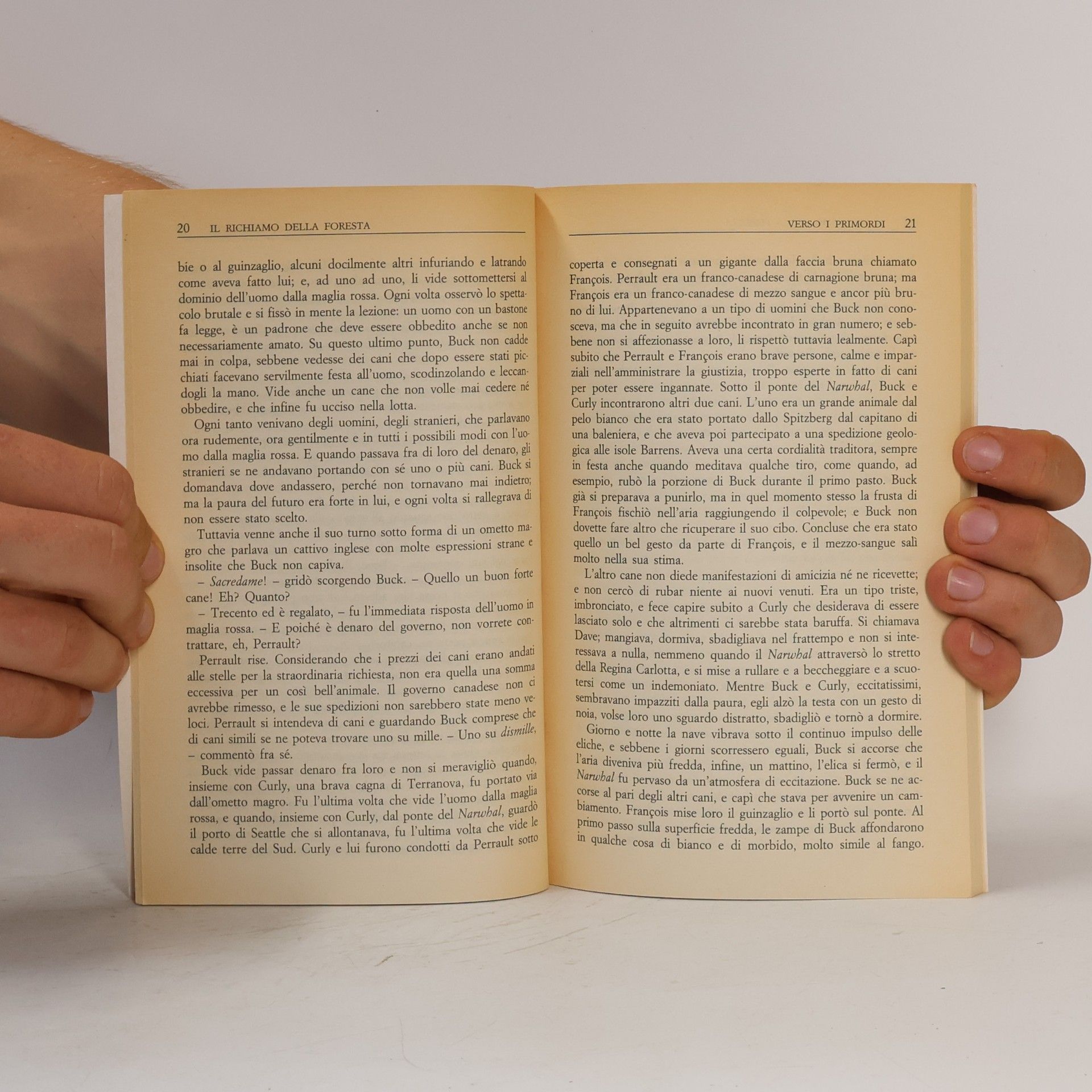Jack London Il richiamo della foresta