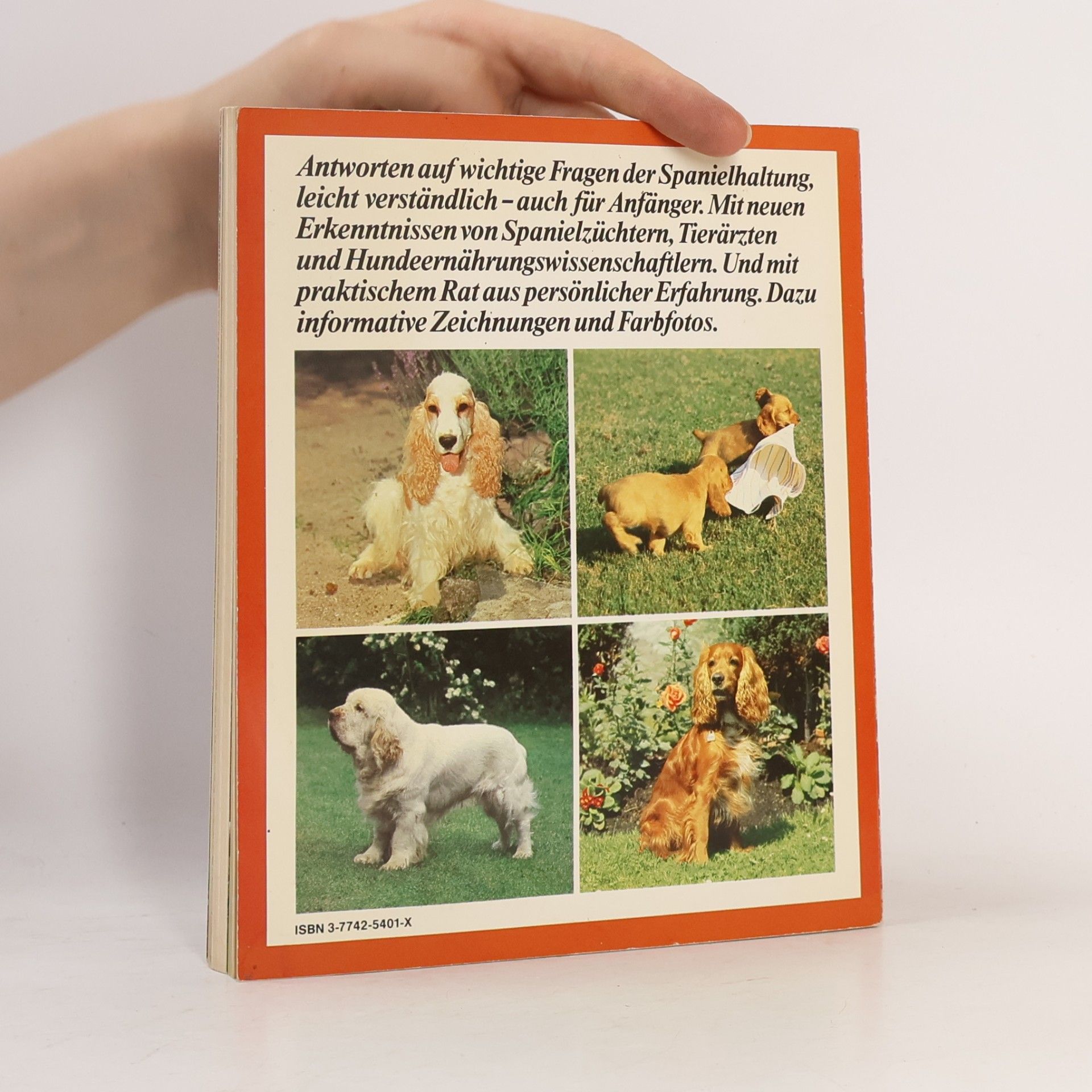Hans Jochen Ullmann Spaniels