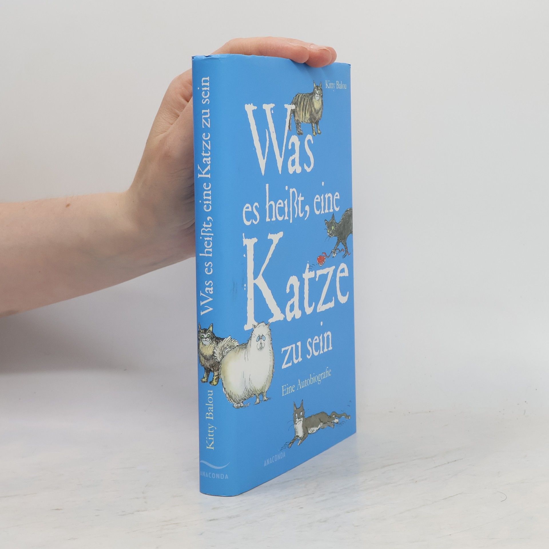 Kitty Balou Was es heißt, eine Katze zu sein