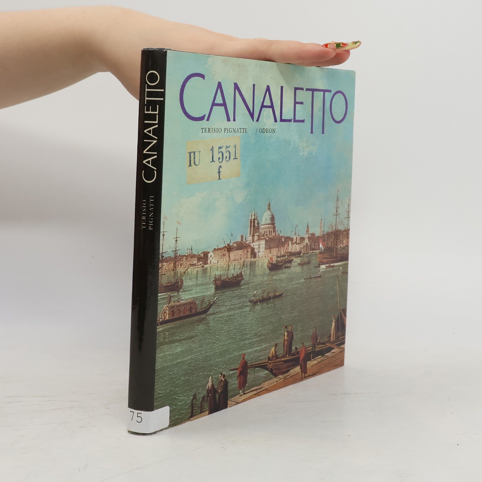 Terisio Pignatti Canaletto