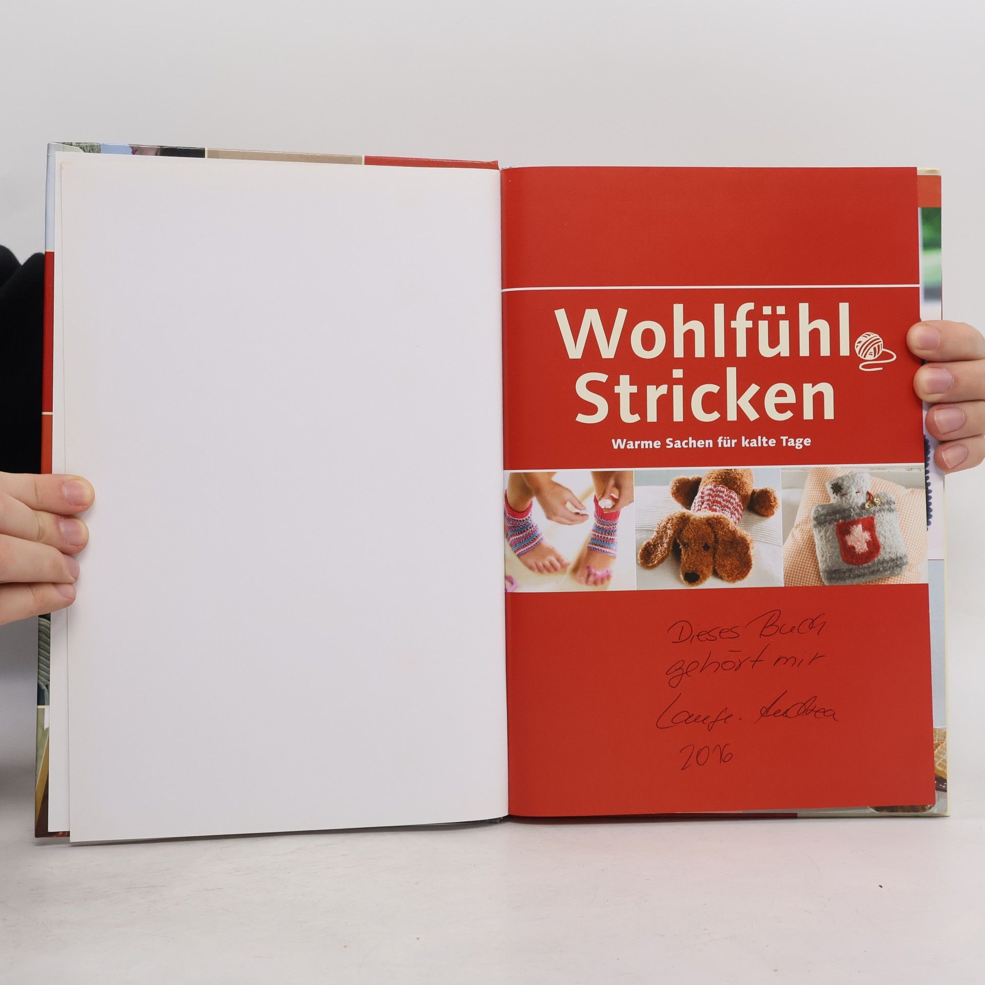 Autorenkollektiv Wohlfühl Stricken