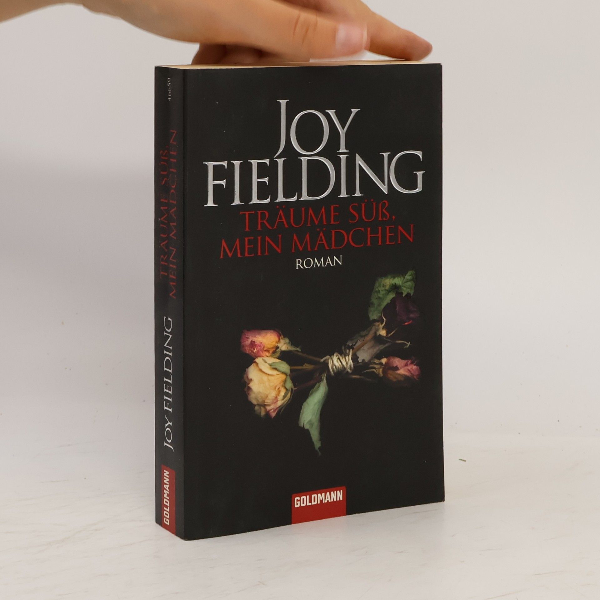 Joy Fielding Träume süss, mein Mädchen