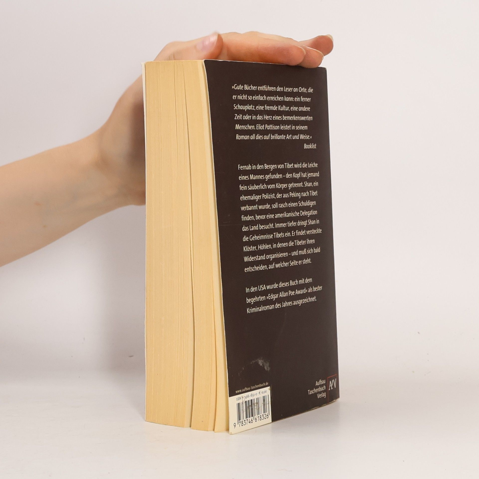Eliot Pattison Der fremde Tibeter