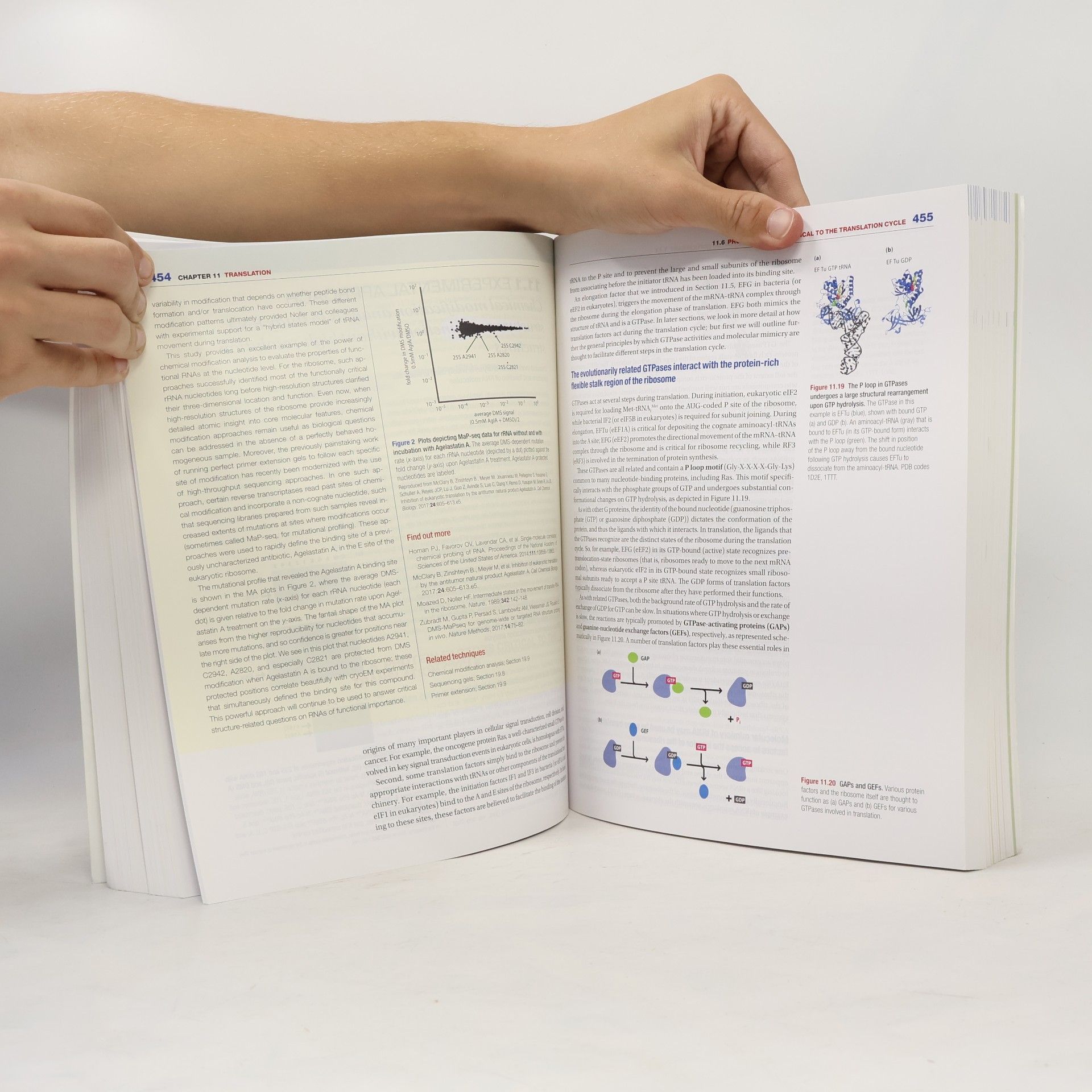 Nancy Lynn Craig Molecular Biology