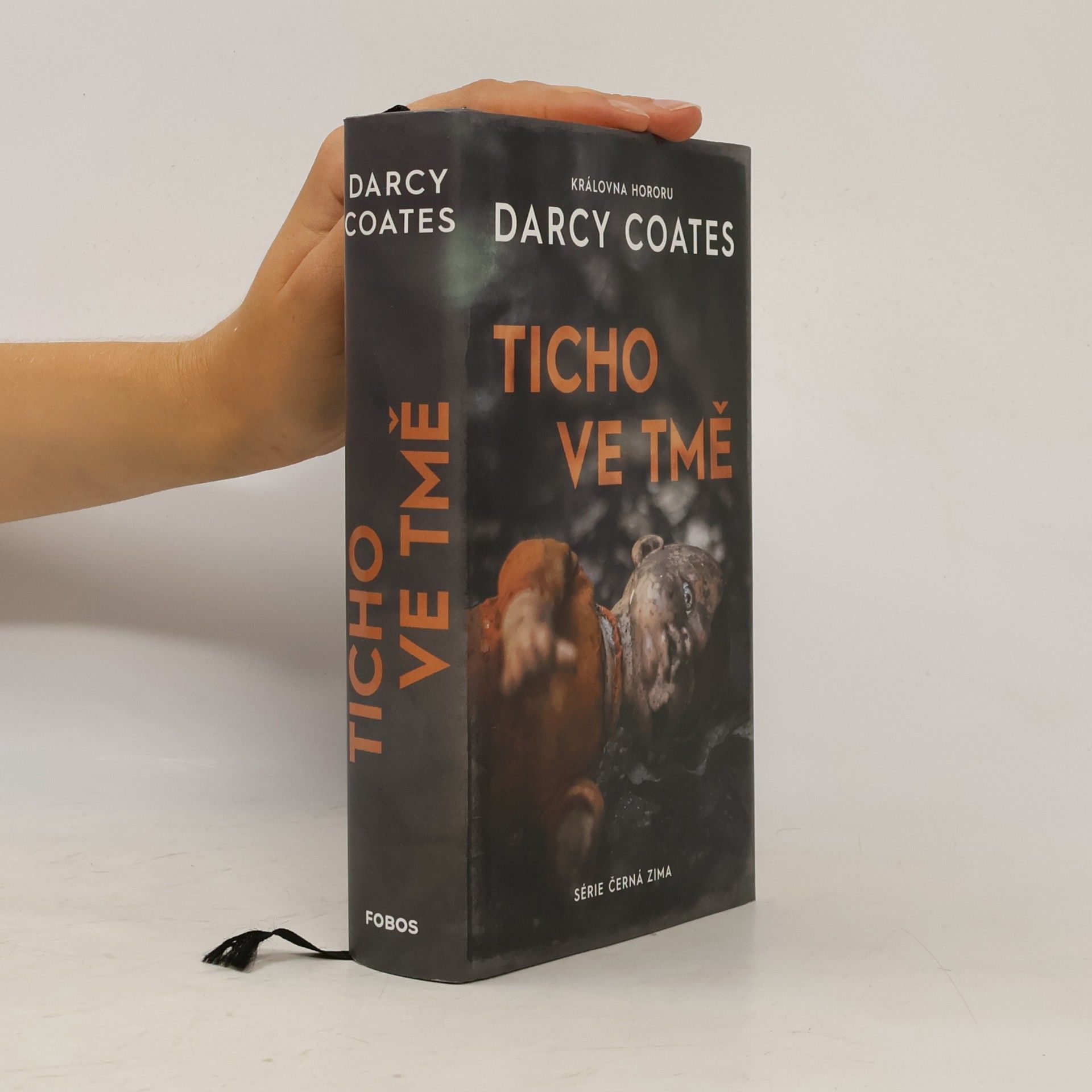 Darcy Coates Ticho ve tmě