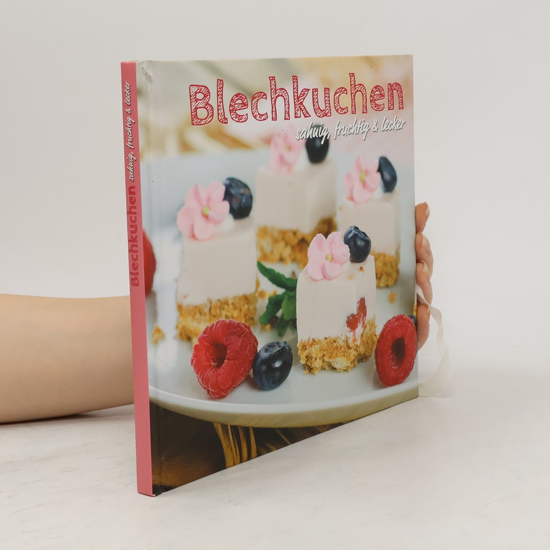 Kolektív autorov Blechkuchen