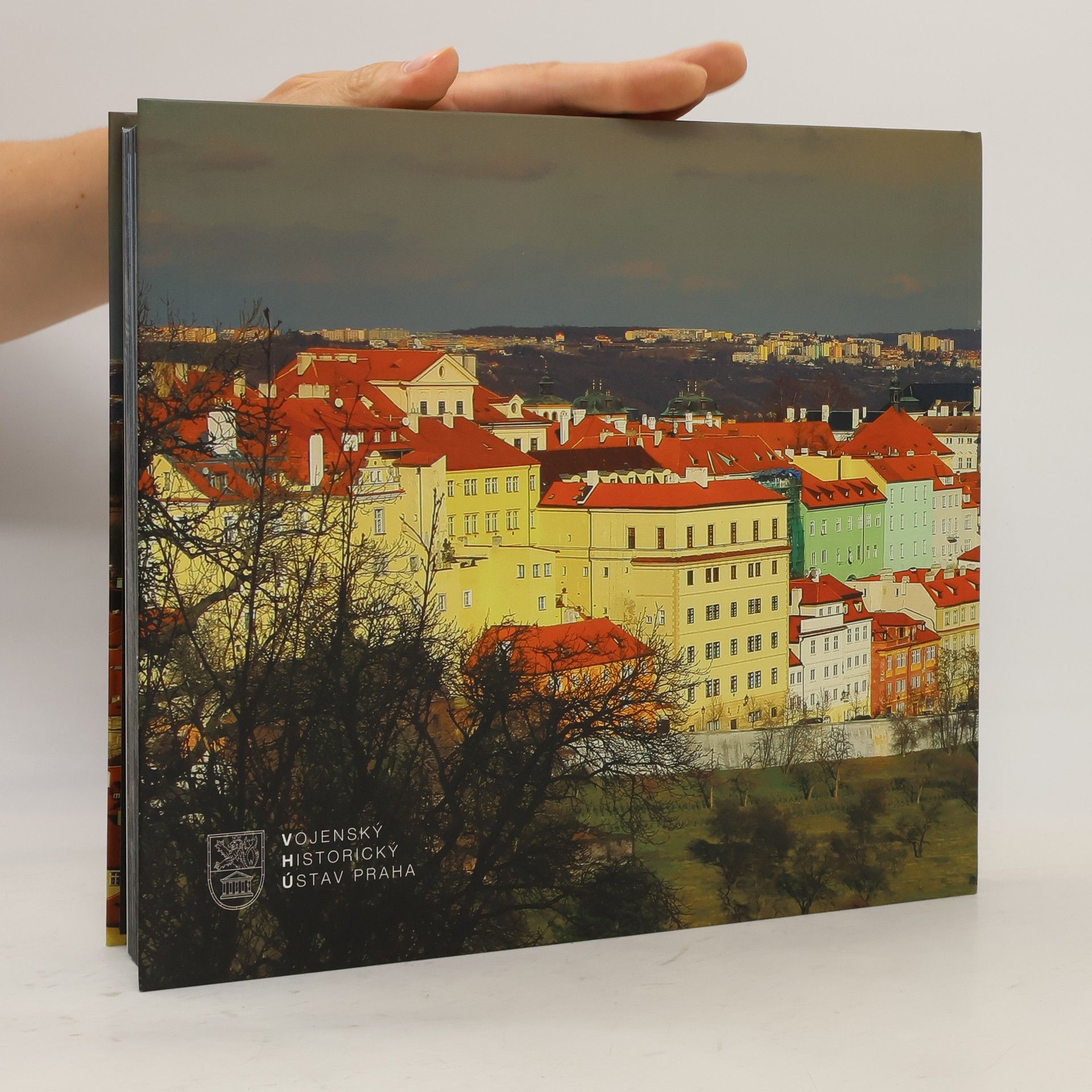 Kolektiv autorů The Czech Garrison Towns in Photographs