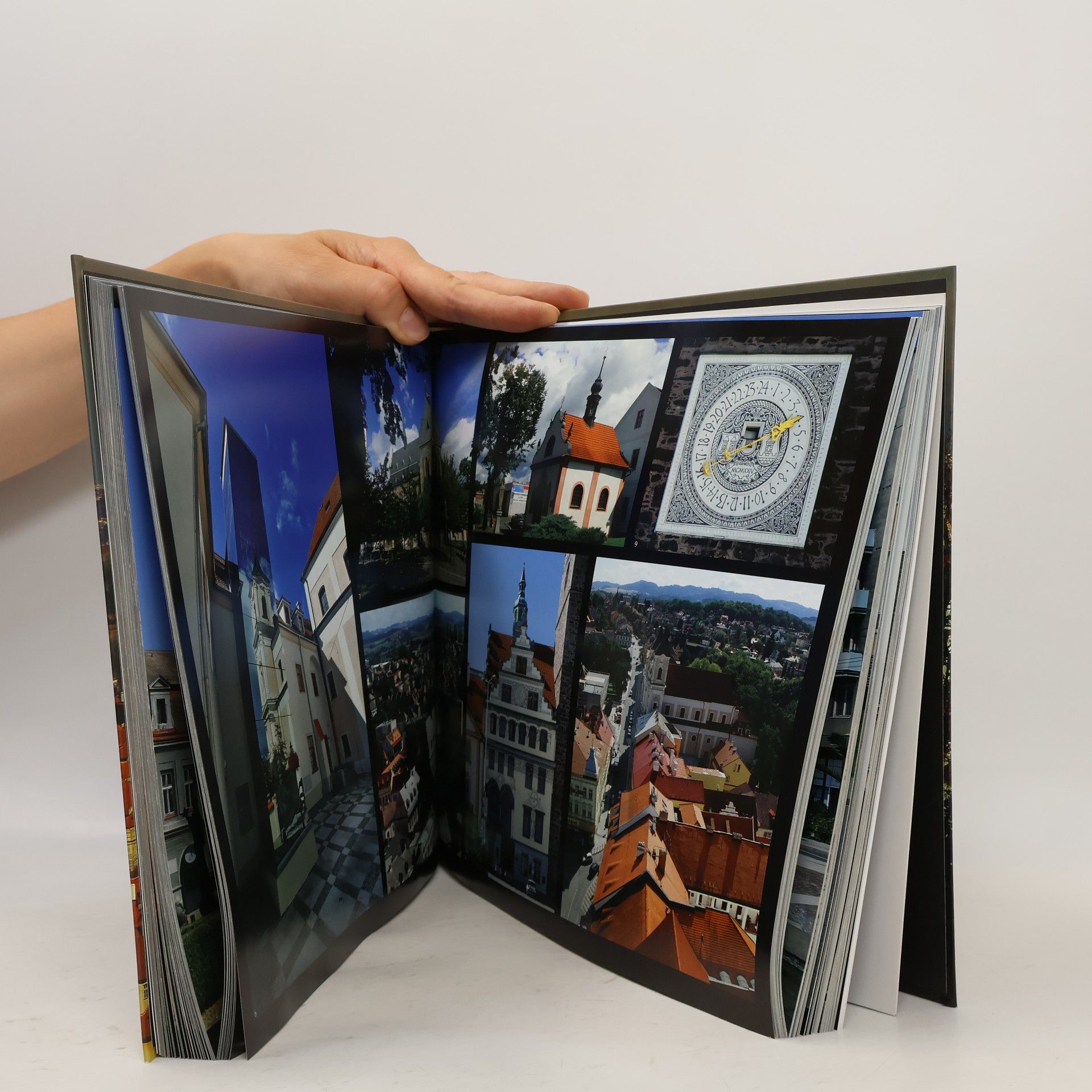 Kolektiv autorů The Czech Garrison Towns in Photographs