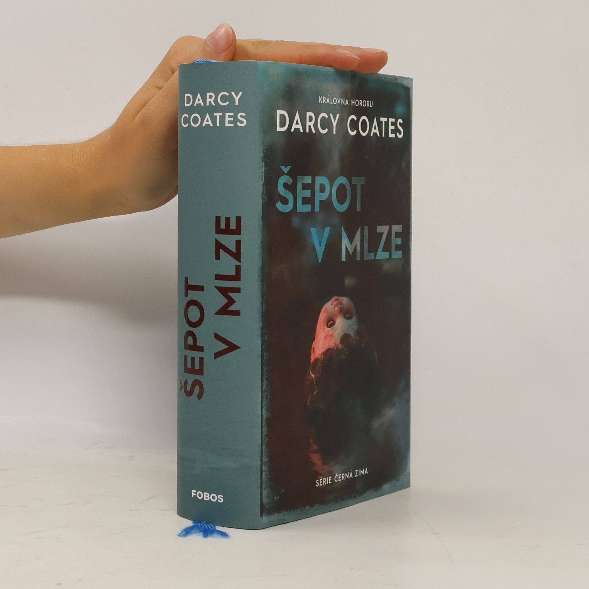 Darcy Coates Šepot v mlze
