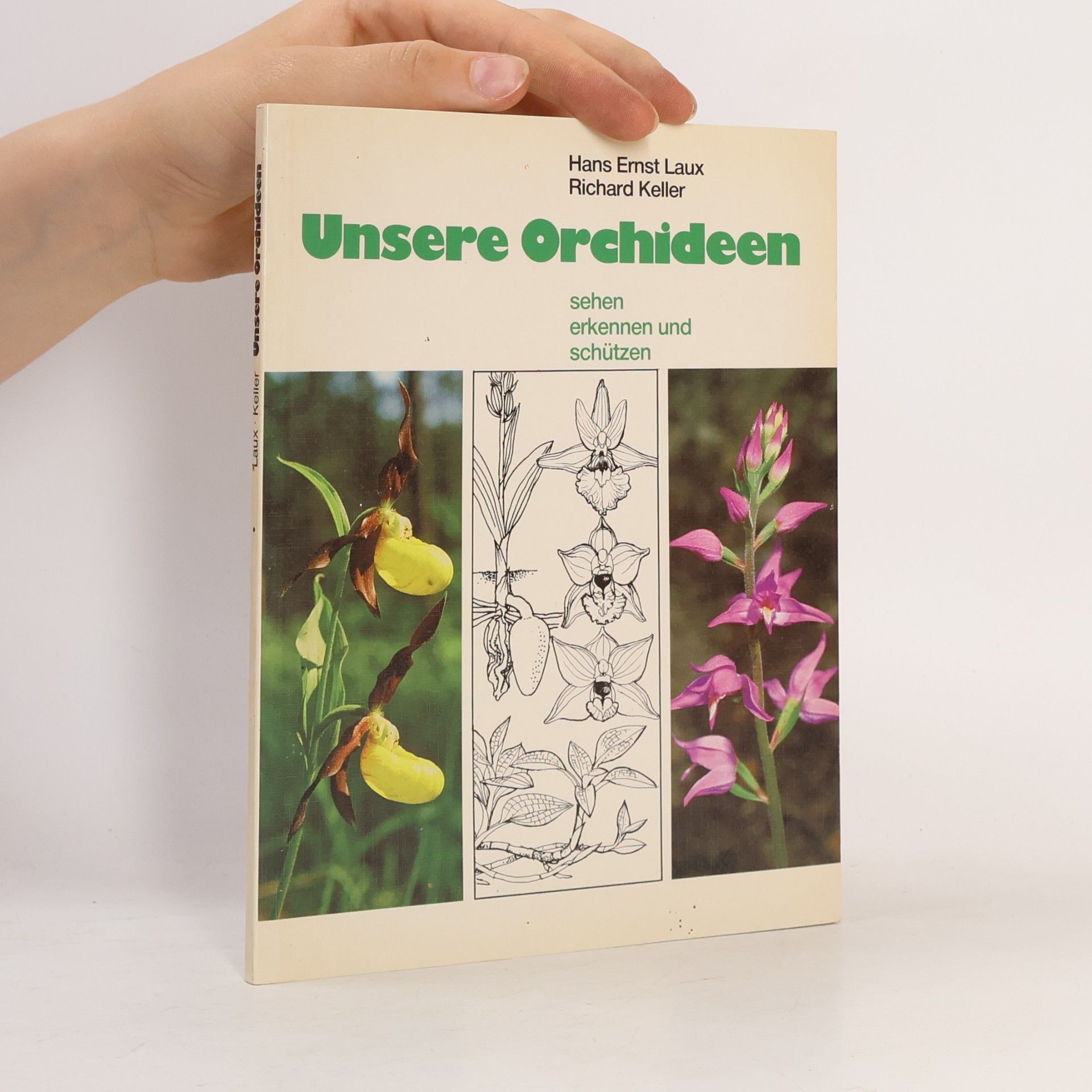 Hans Ernest Laux Unsere Orchideen