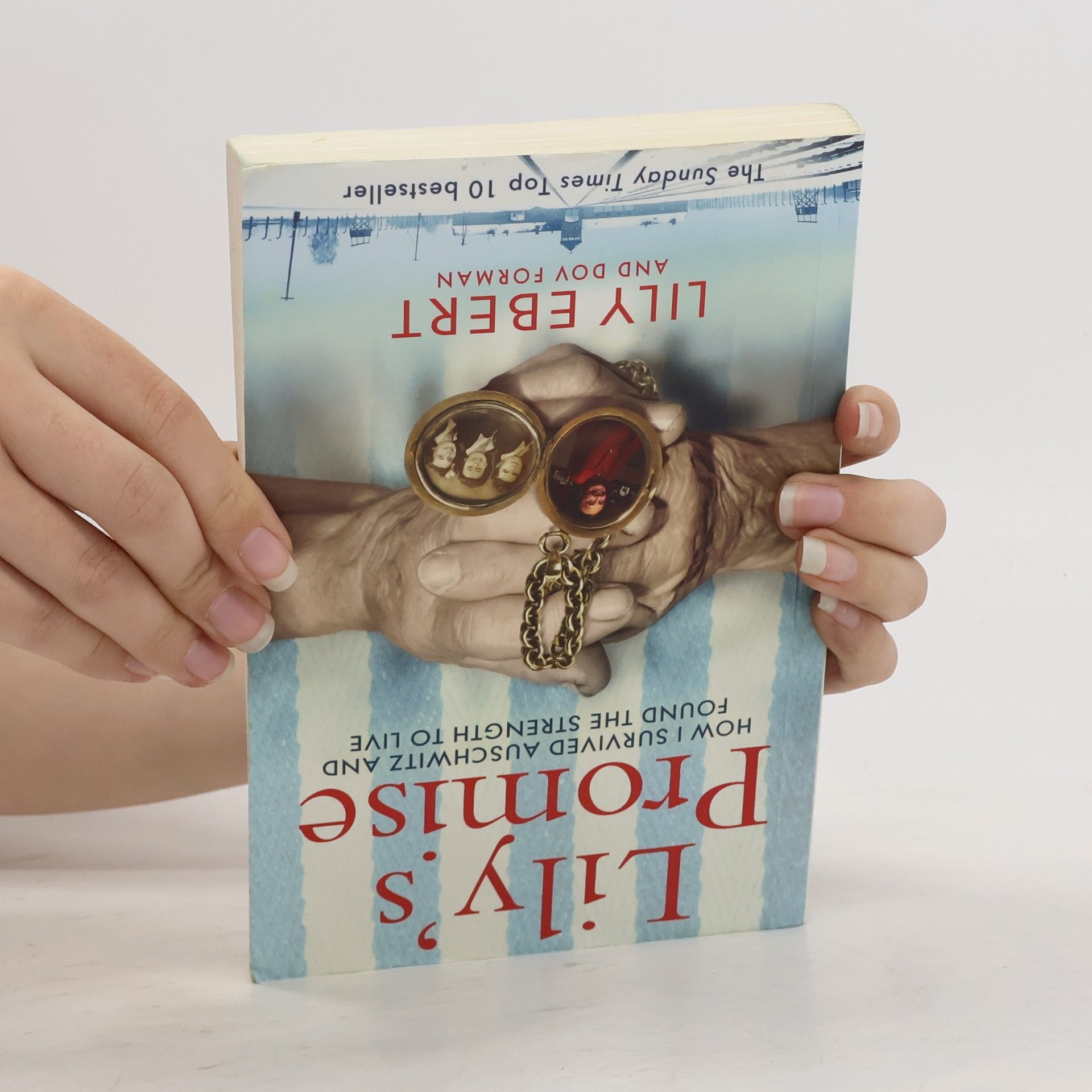 Lily Ebert Lily´s Promise : How I Survived Auschwitz and Found the Strength to Live