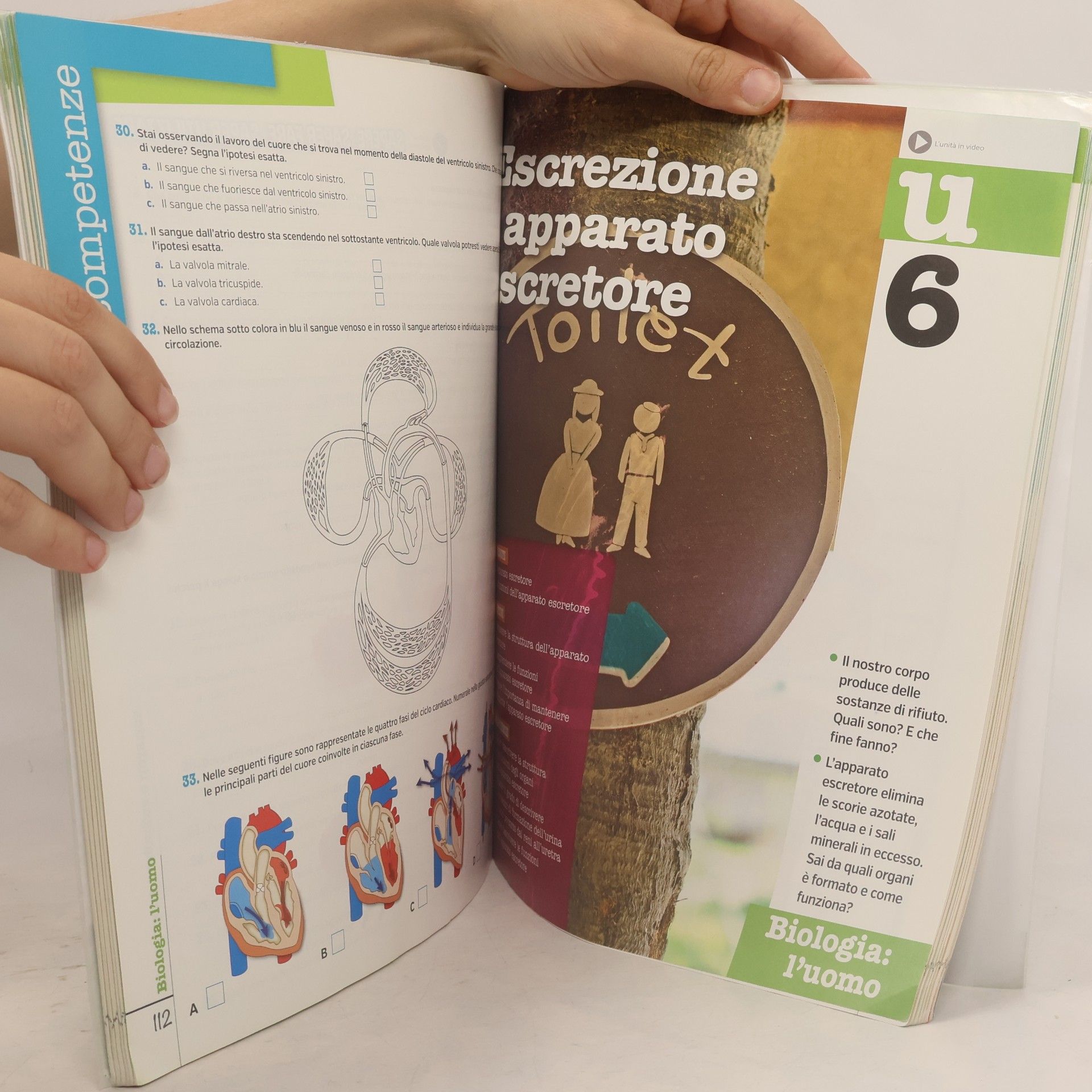 Gilda Flaccavento Traguardo scienze C2