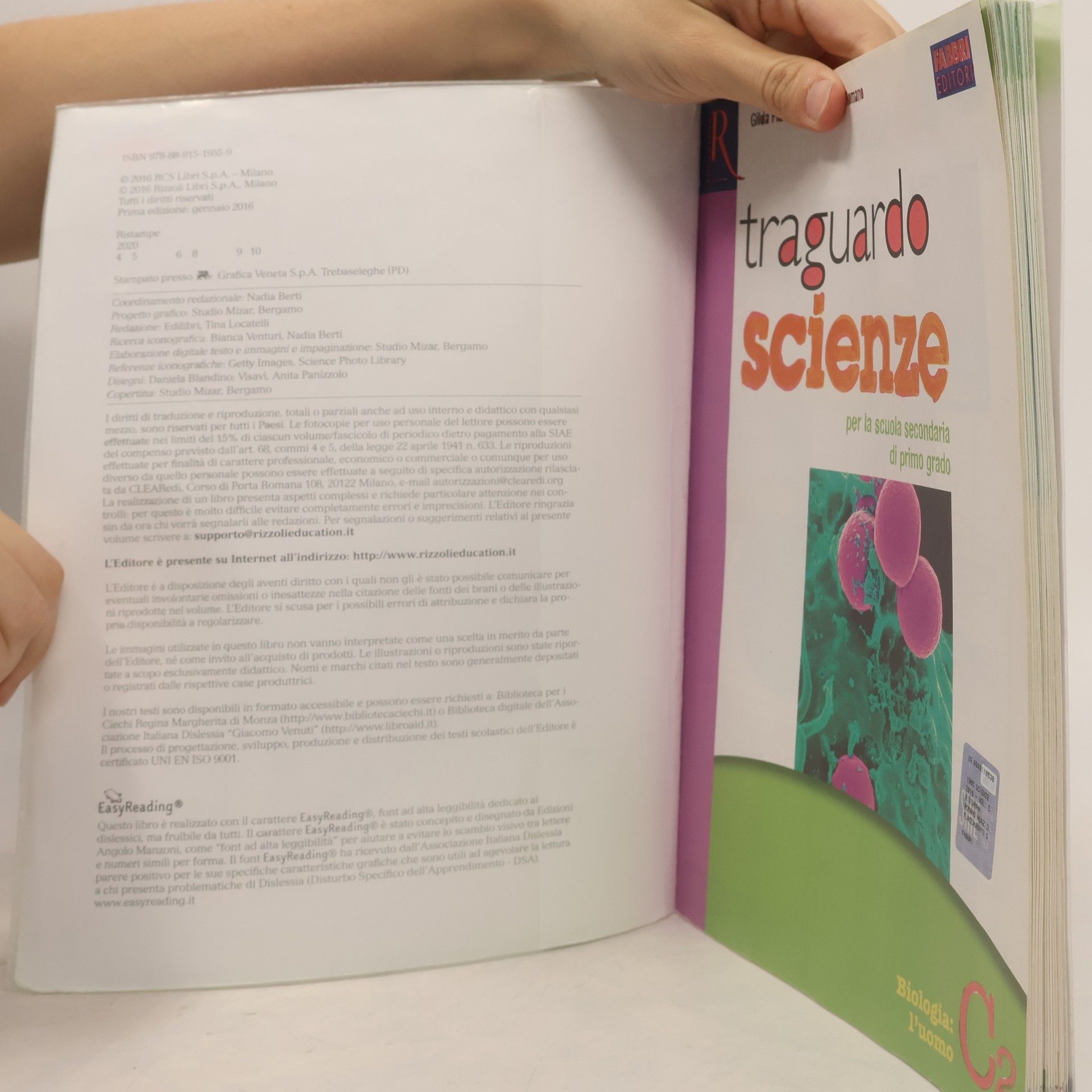 Gilda Flaccavento Traguardo scienze C2