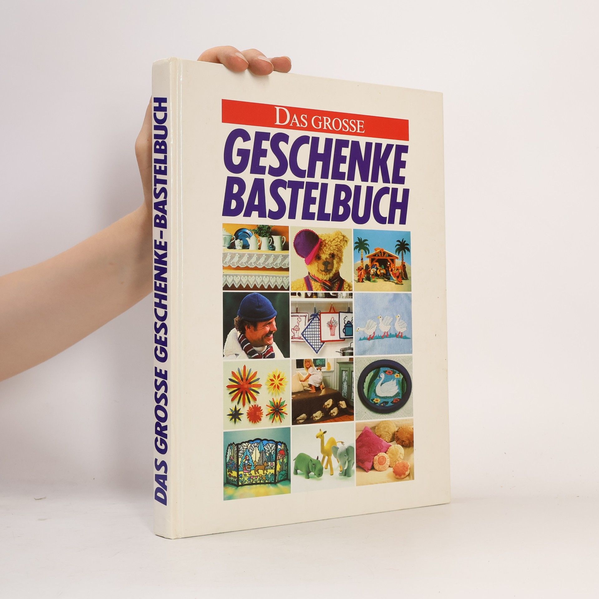 Das grosse Geschenke-Bastelbuch