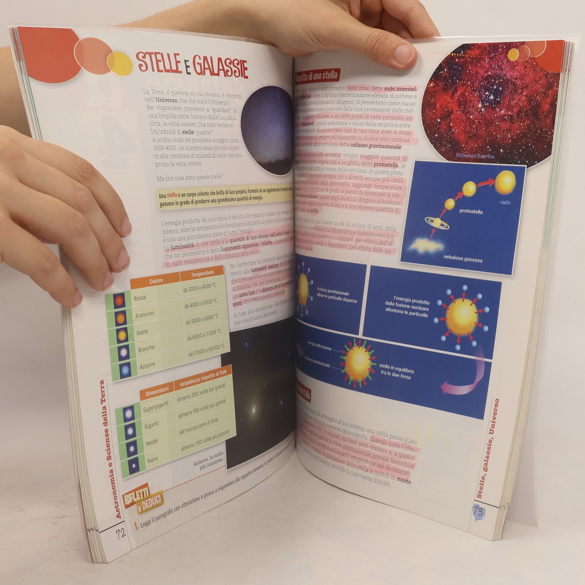 Gilda Flaccavento Traguardo Scienze