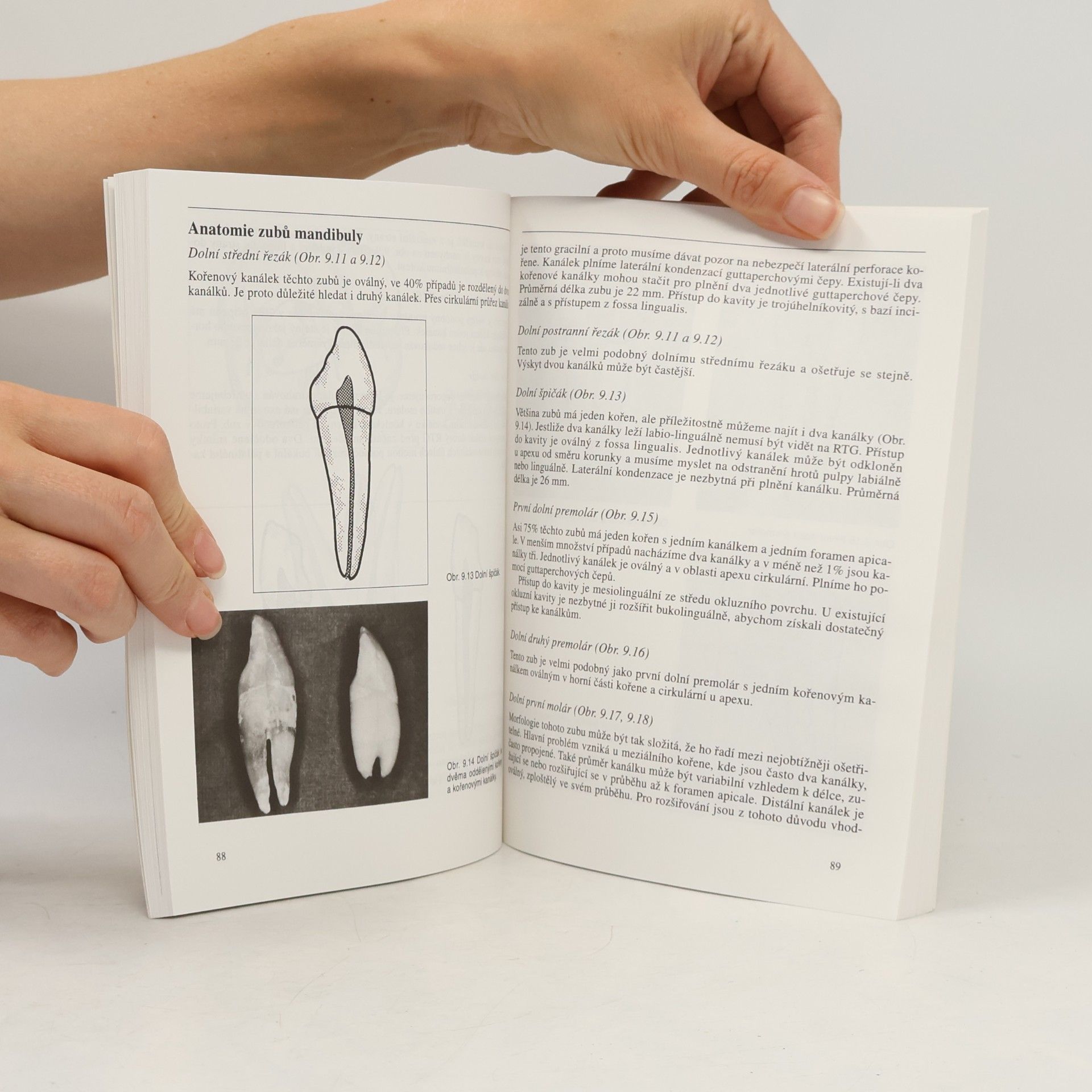 J. M. Mumford Endodoncie, klinické postupy při ošetření