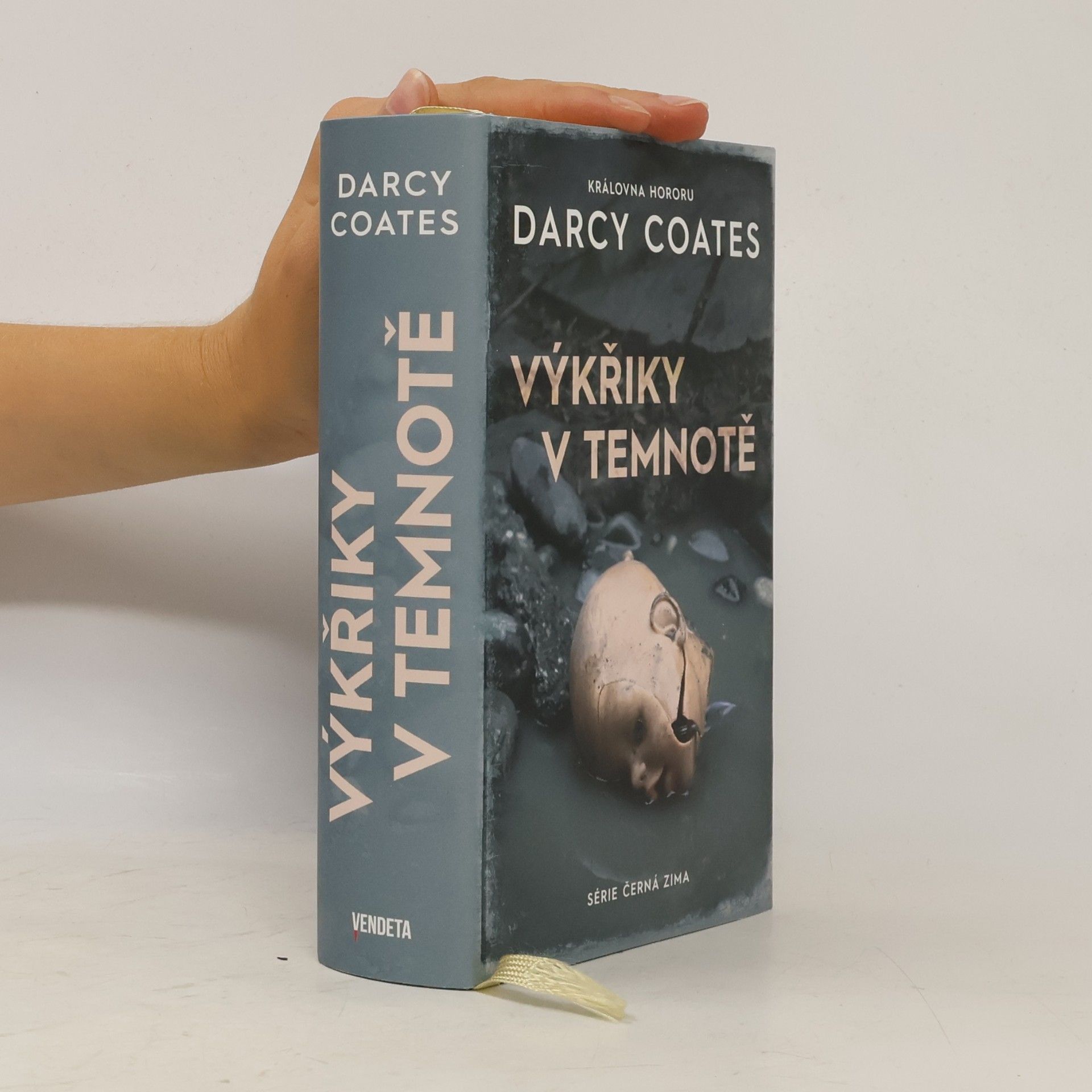Darcy Coates Výkřiky v temnotě