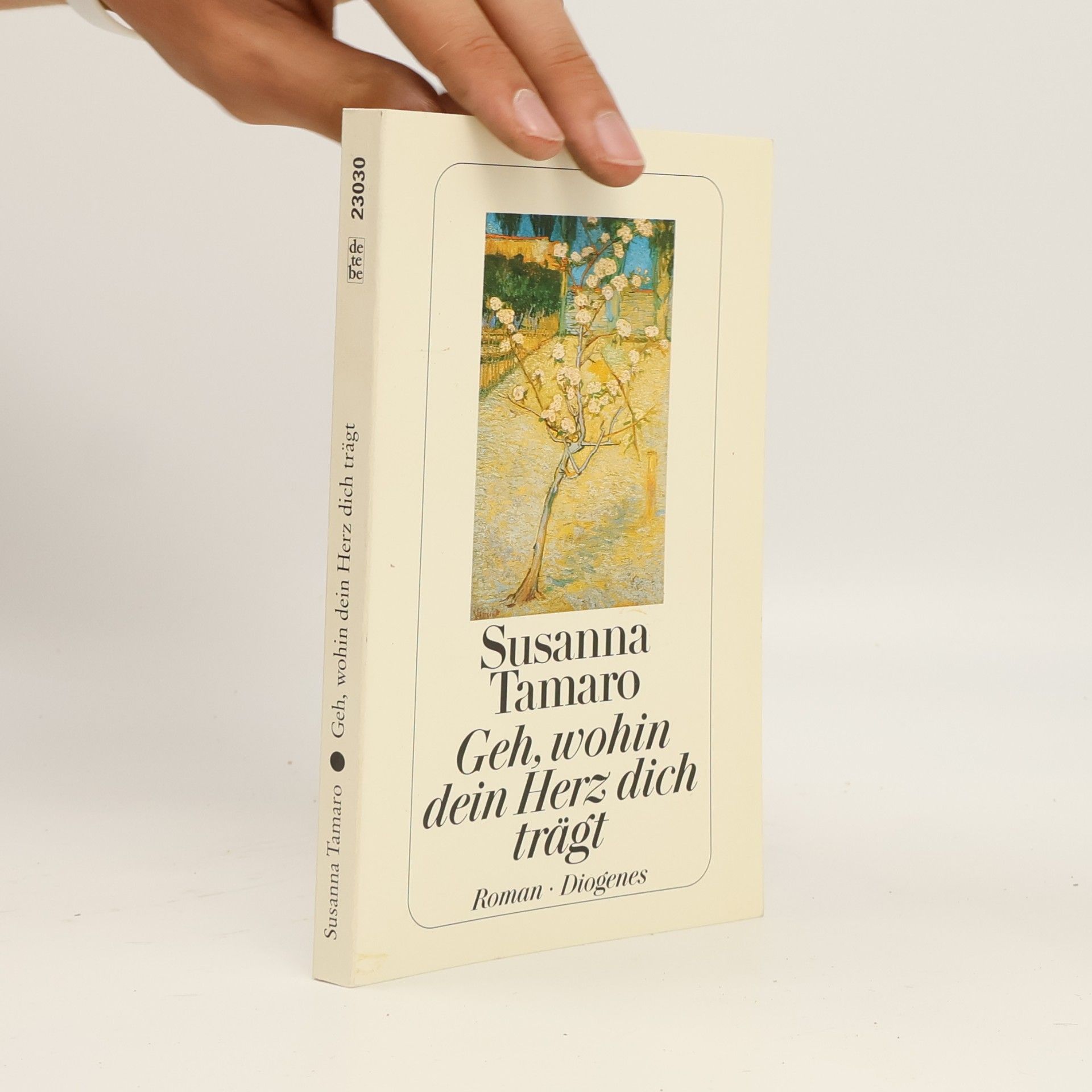Susanna Tamaro Geh, wohin dein Herz dich trägt