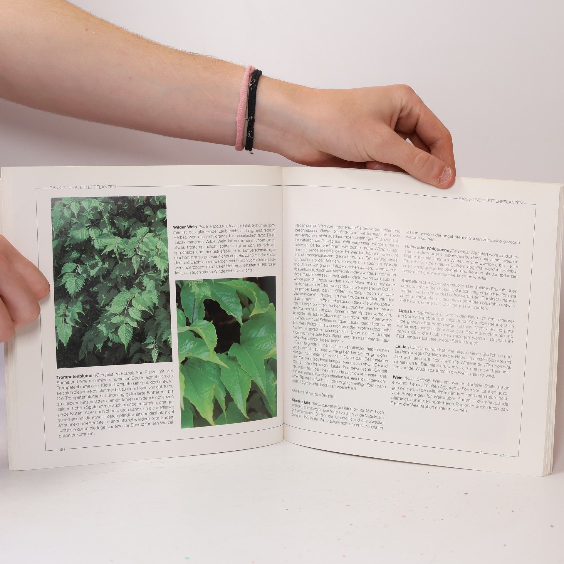 Walter Diem Gartenlauben und Pavillons