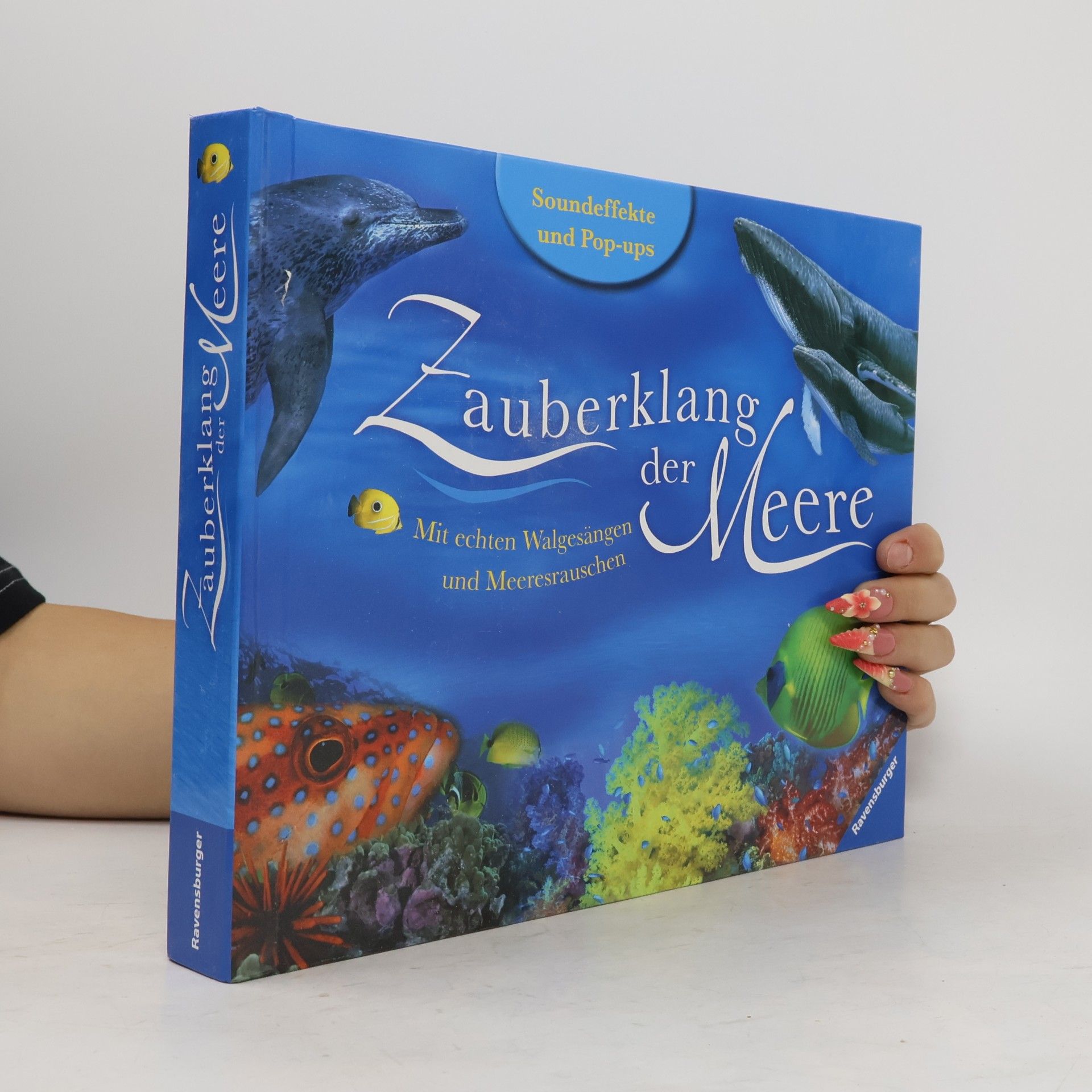 Maurice Pledger Zauberklang der Meere