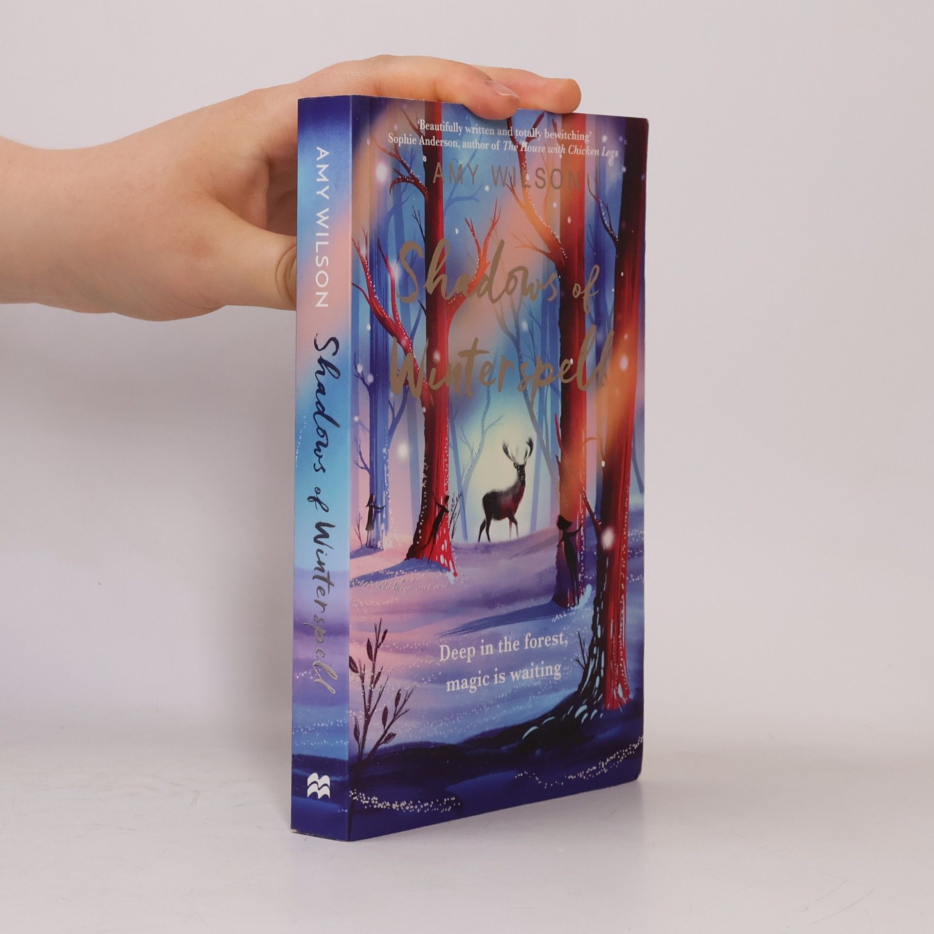 Amy Wilson Shadows of Winterspell