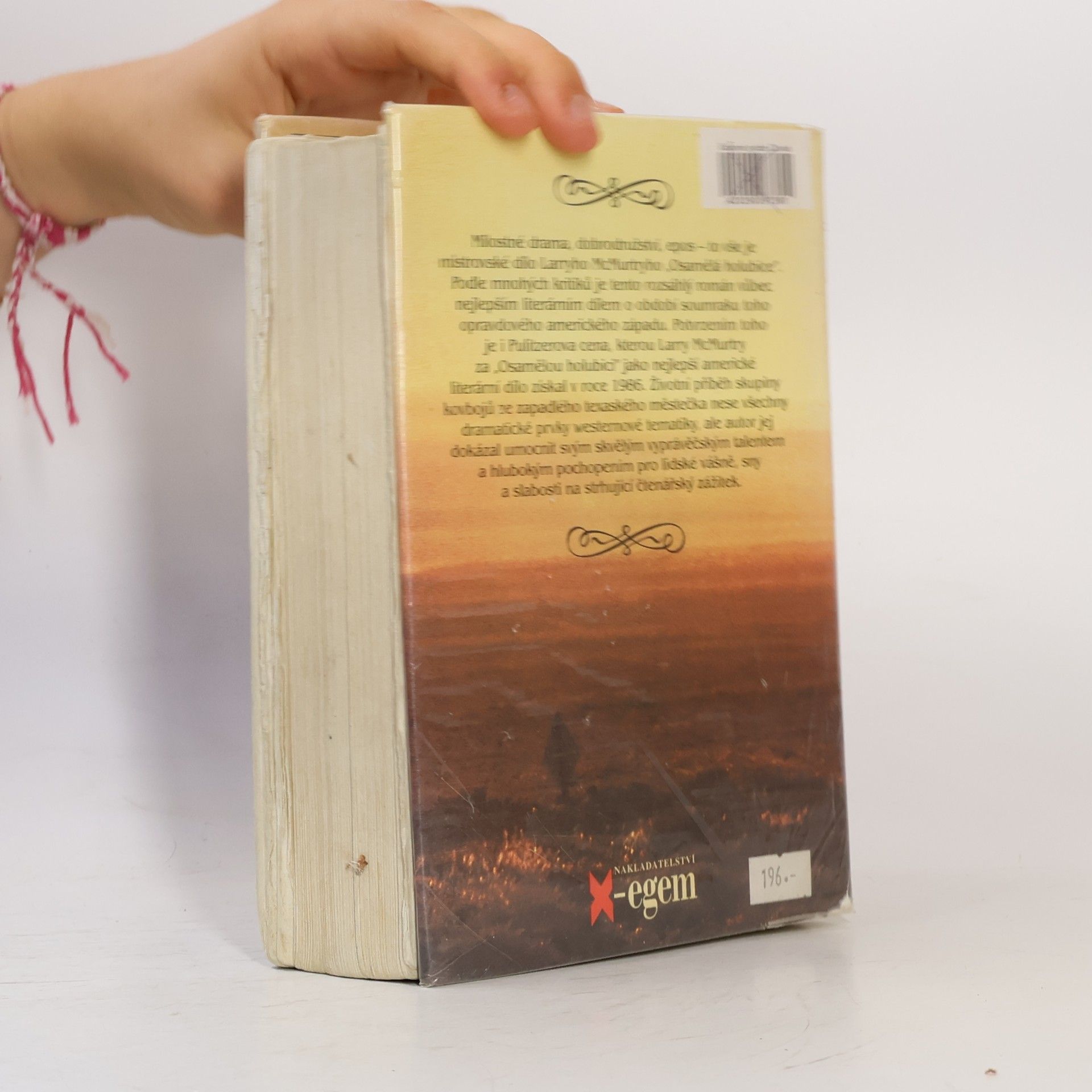 Larry McMurtry Osamělá holubice