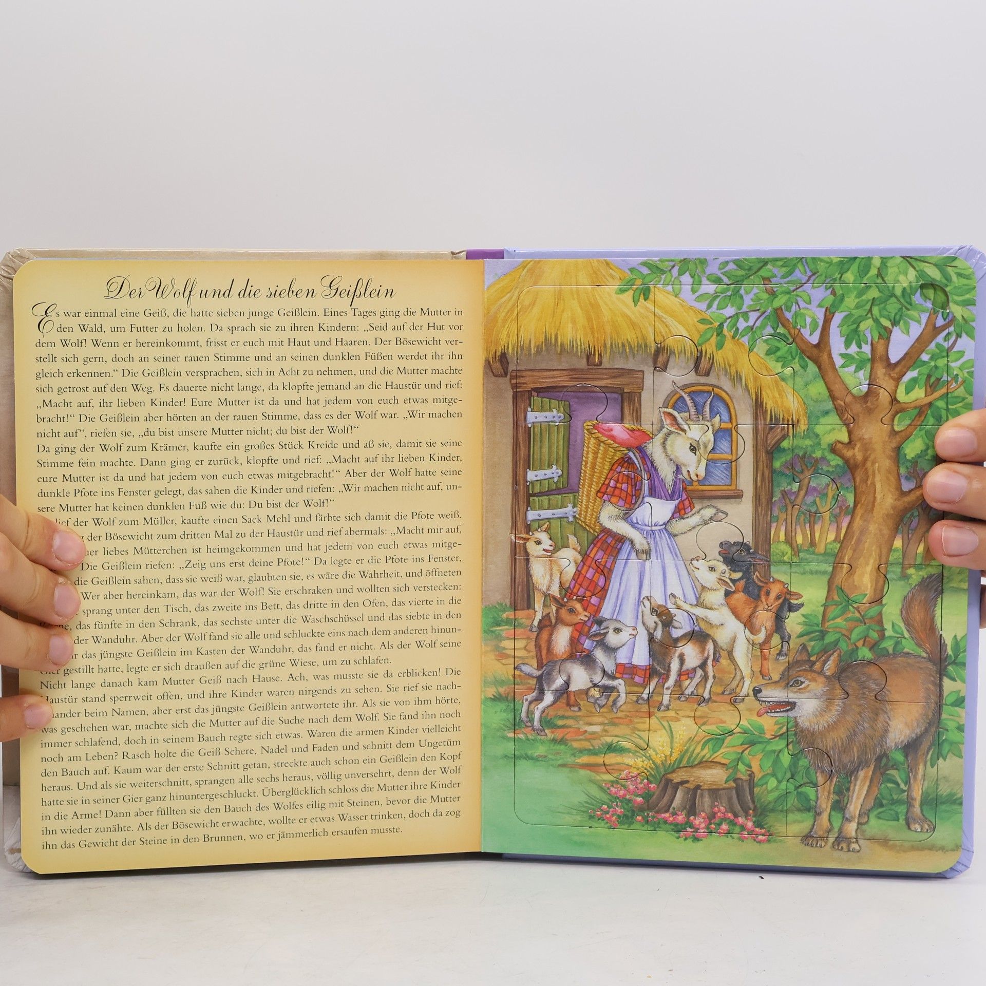 Kolektiv autorů Märchenpuzzlebuch. 5 Märchen & Puzzles