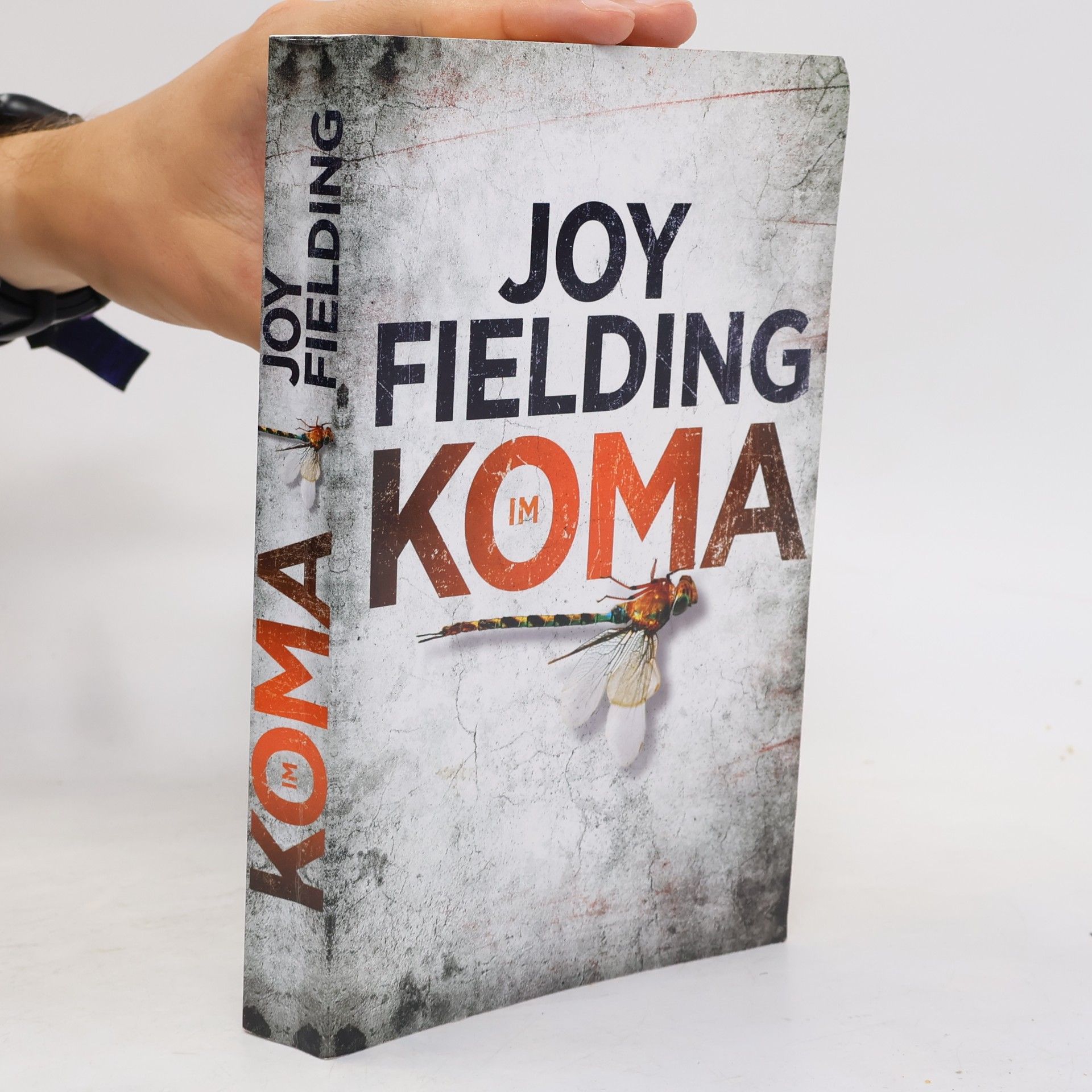 Joy Fielding Im Koma