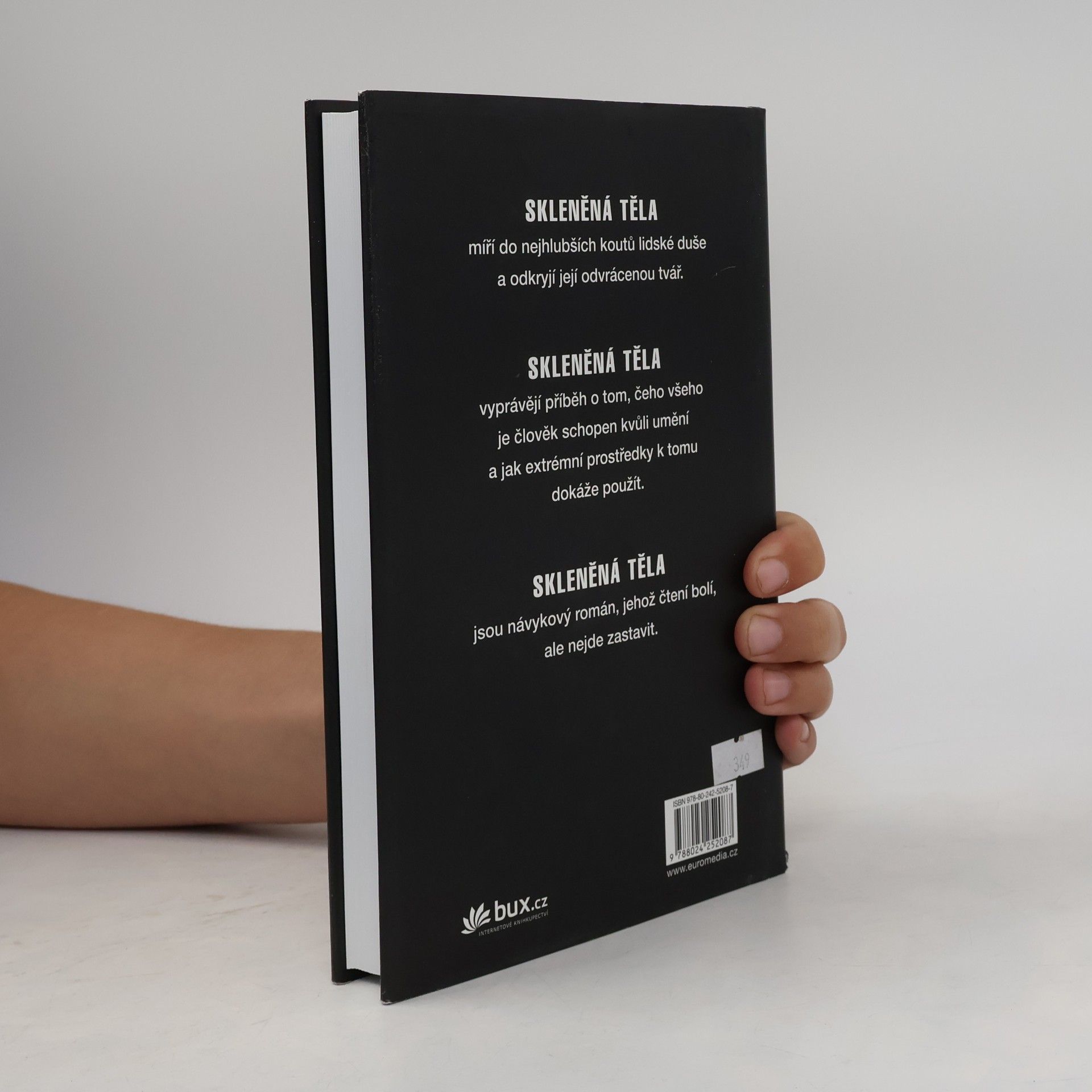 Erik Axl Sund Skleněná těla. Černá melancholie