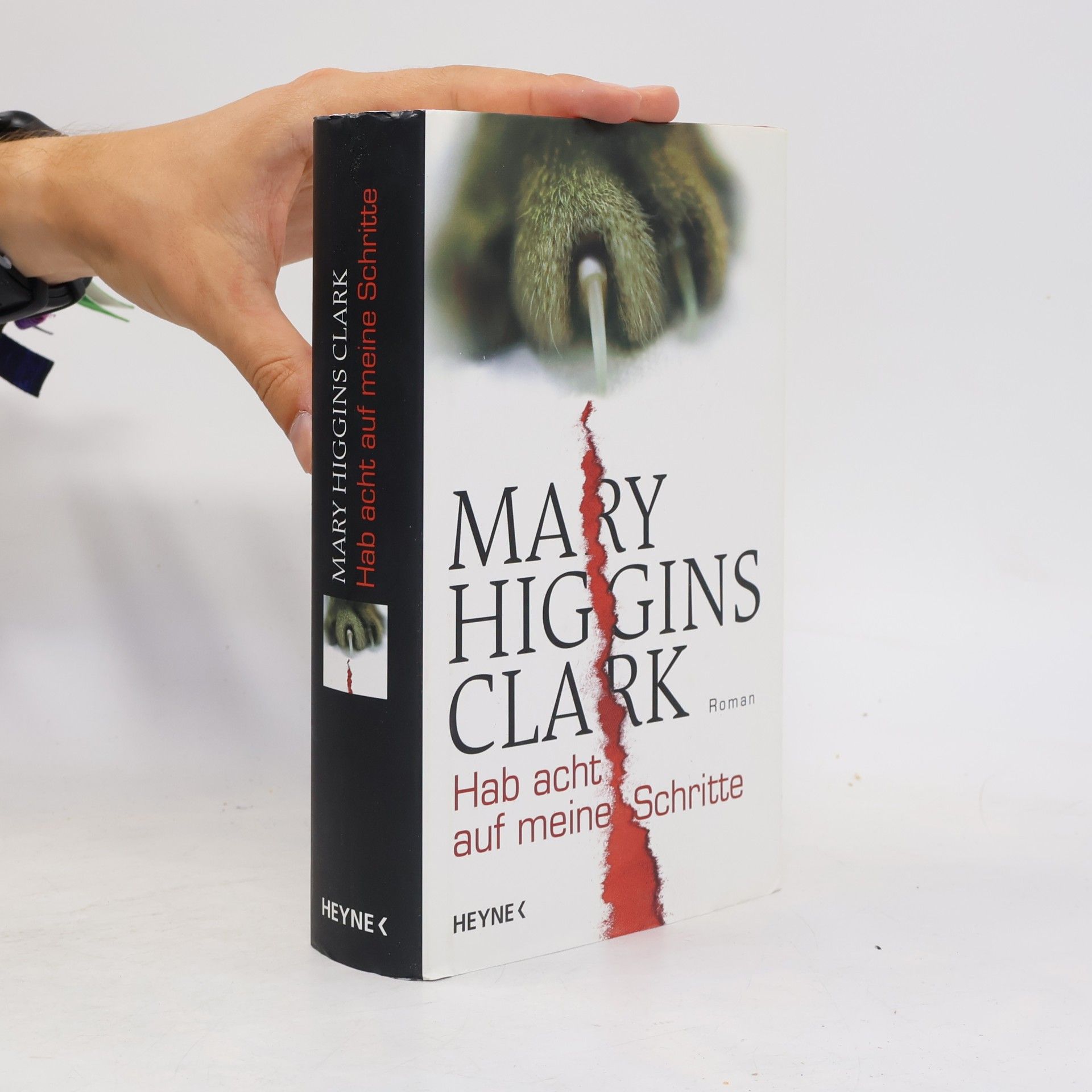 Mary Higgins Clark Hab acht auf meine Schritte