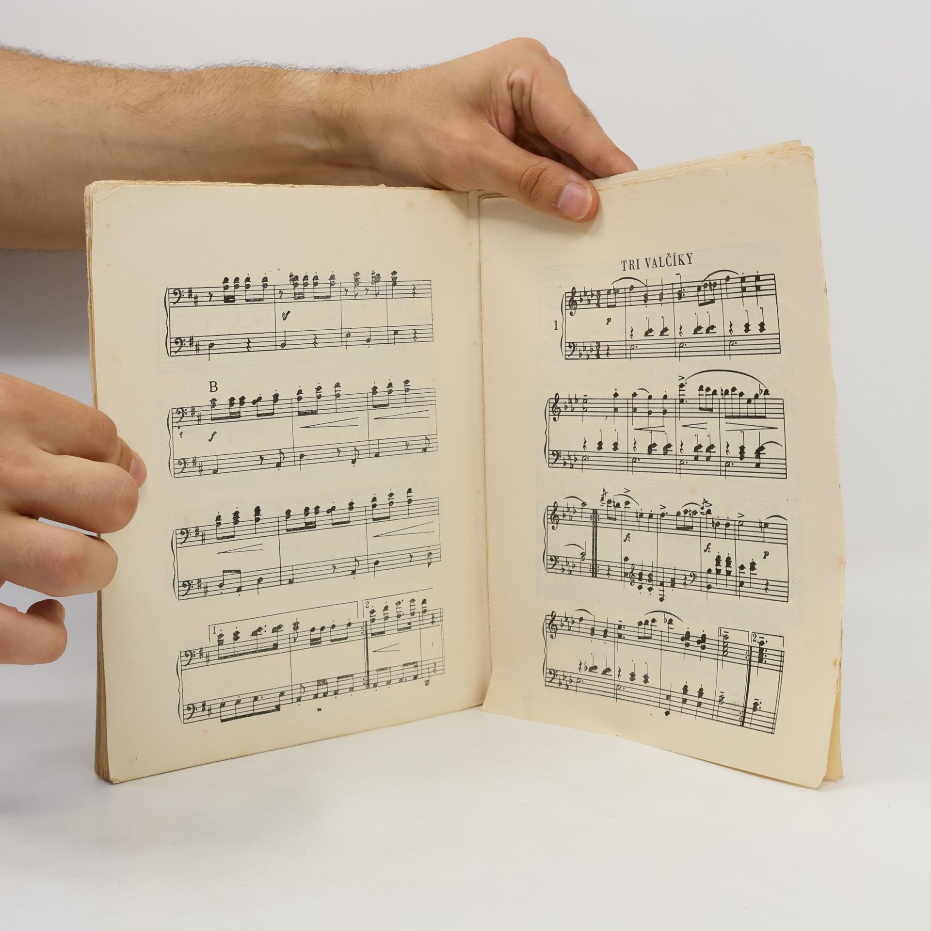 Opal Wheeler Franz Schubert