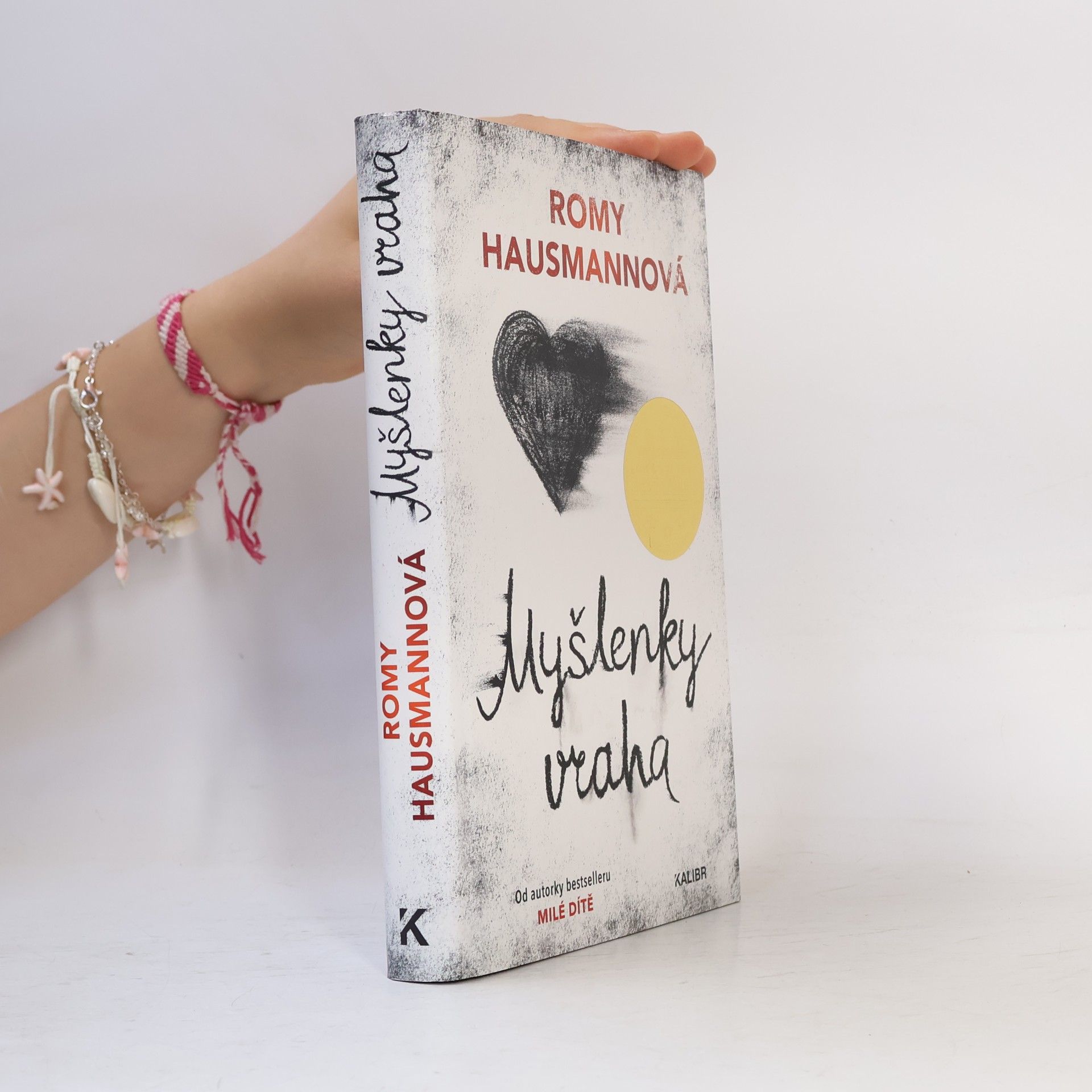 Romy Hausmann Myšlenky vraha