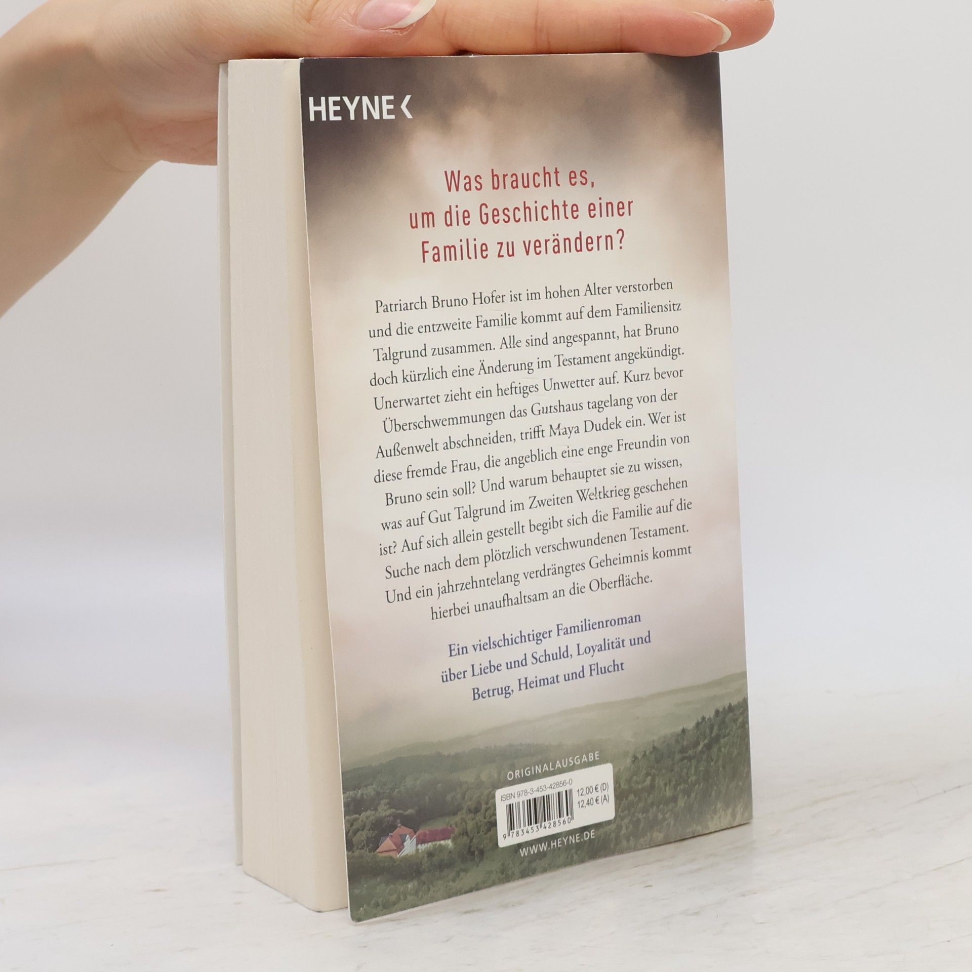 Rebecca Martin Das Erbe von Talgrund
