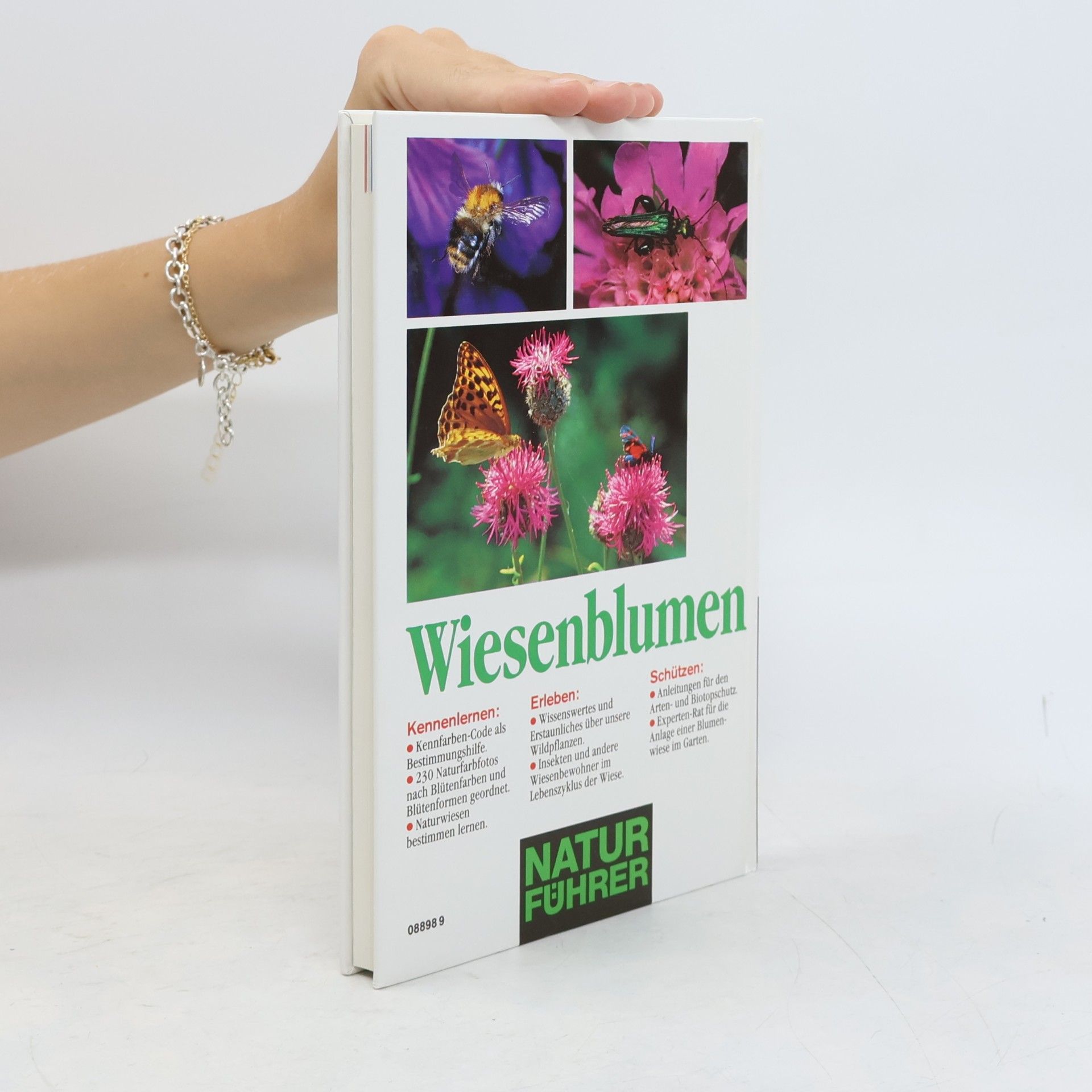 Bruno P. Kremer Wiesenblumen
