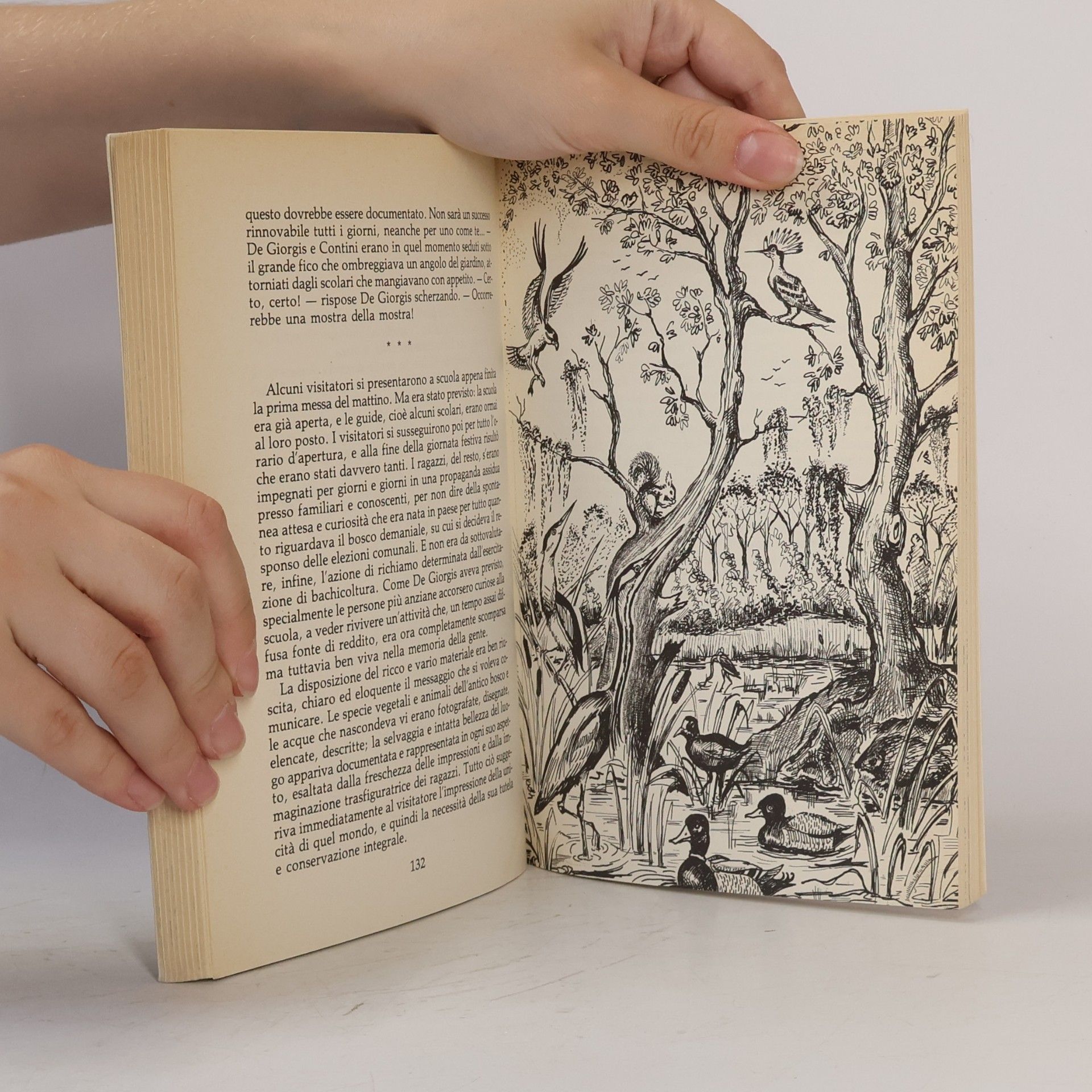Elio Scialla Il bosco del mulino abbandonato