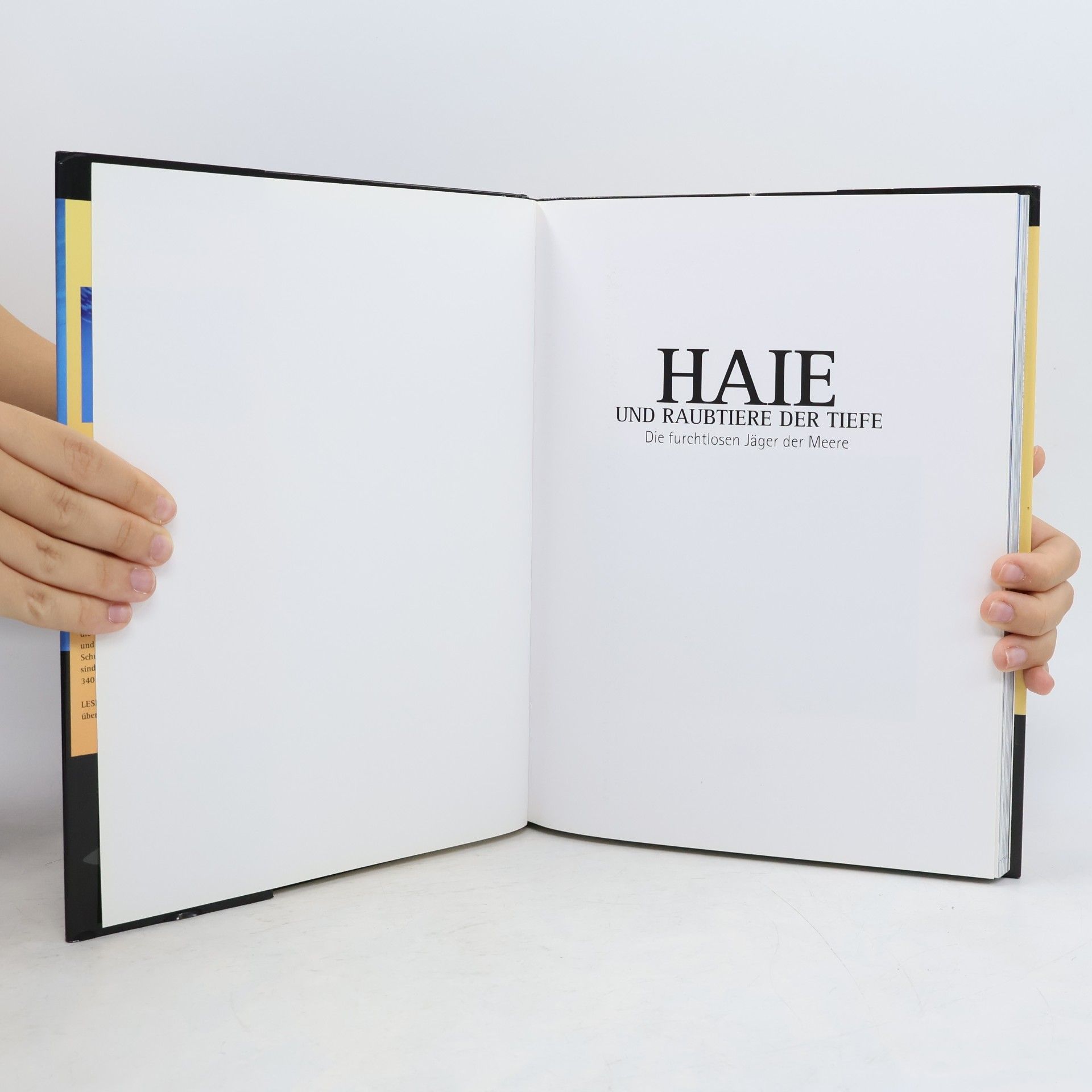 Autorenkollektiv Haie