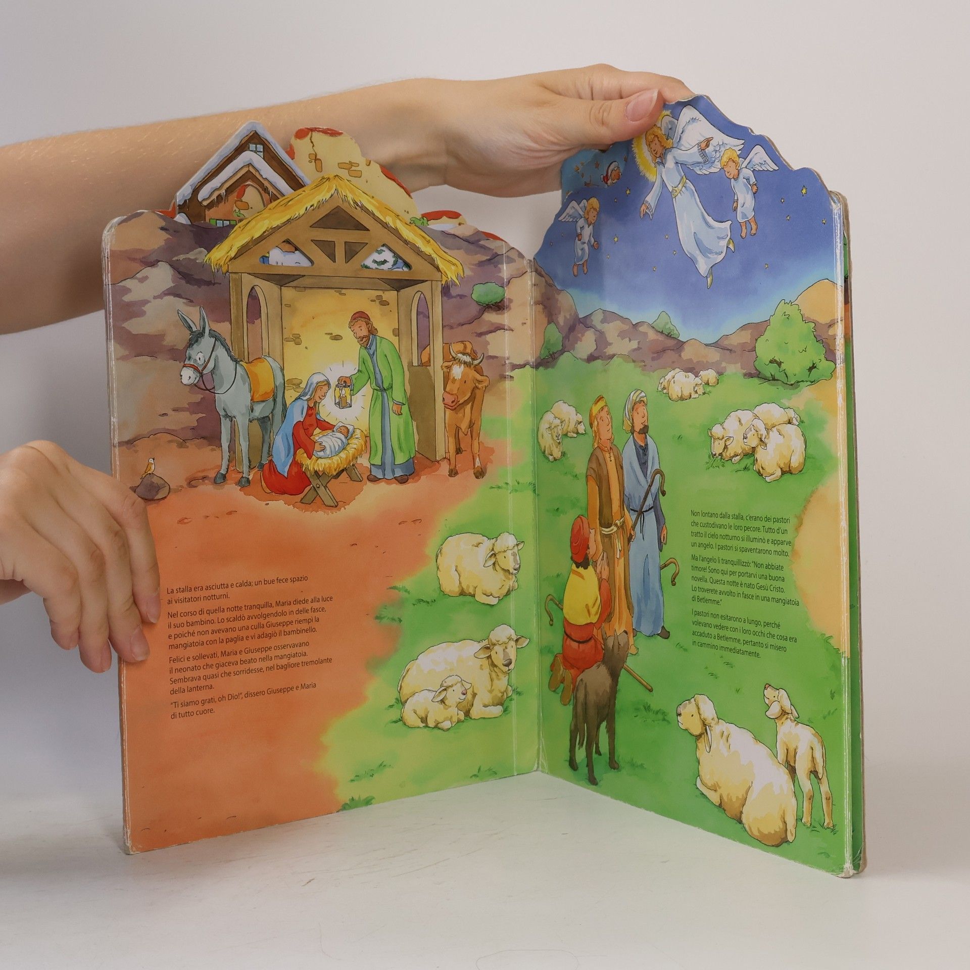 Kolektiv autorů Libro panorama – Natale – Con la storia biblica