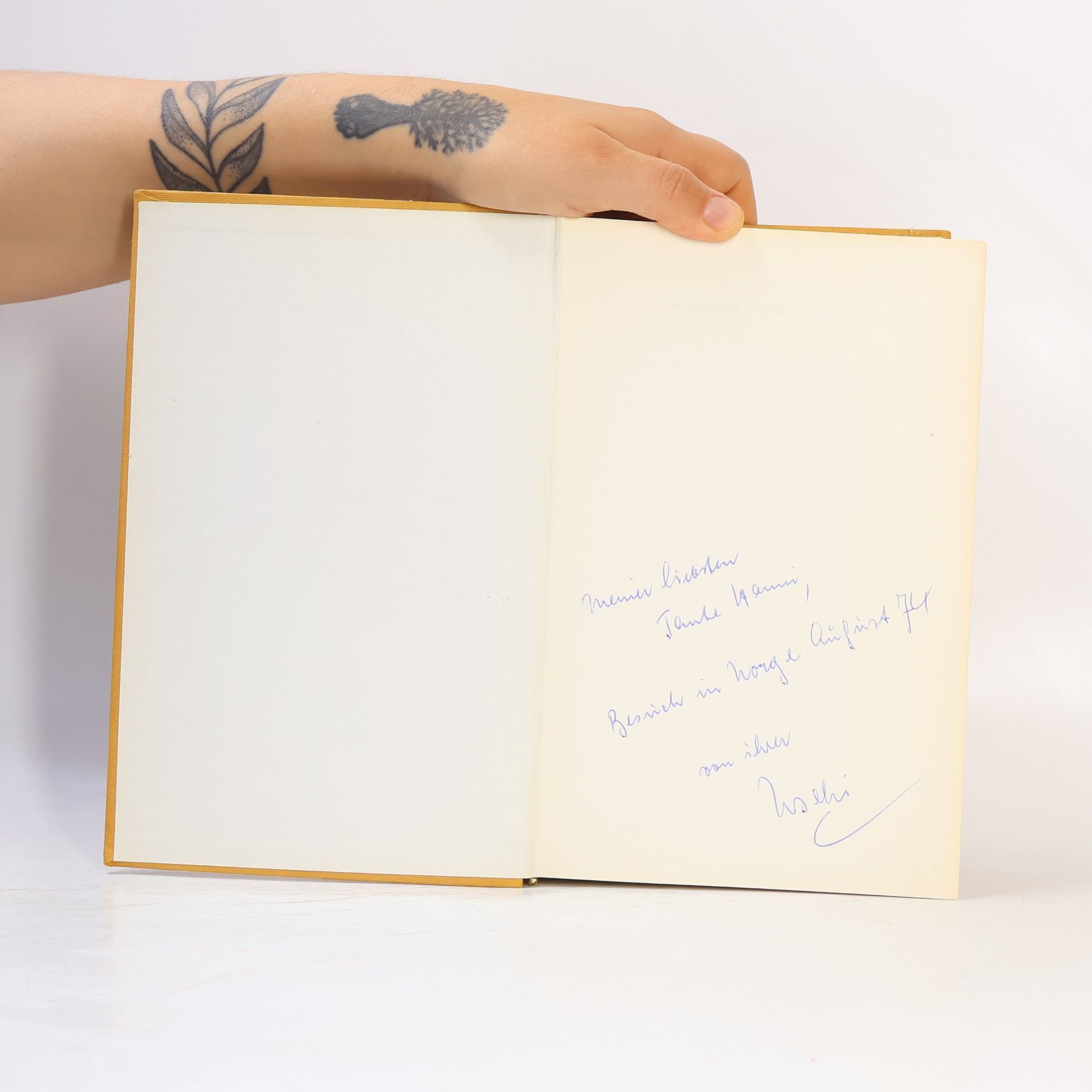 Sandra Paretti Rose und Schvwert
