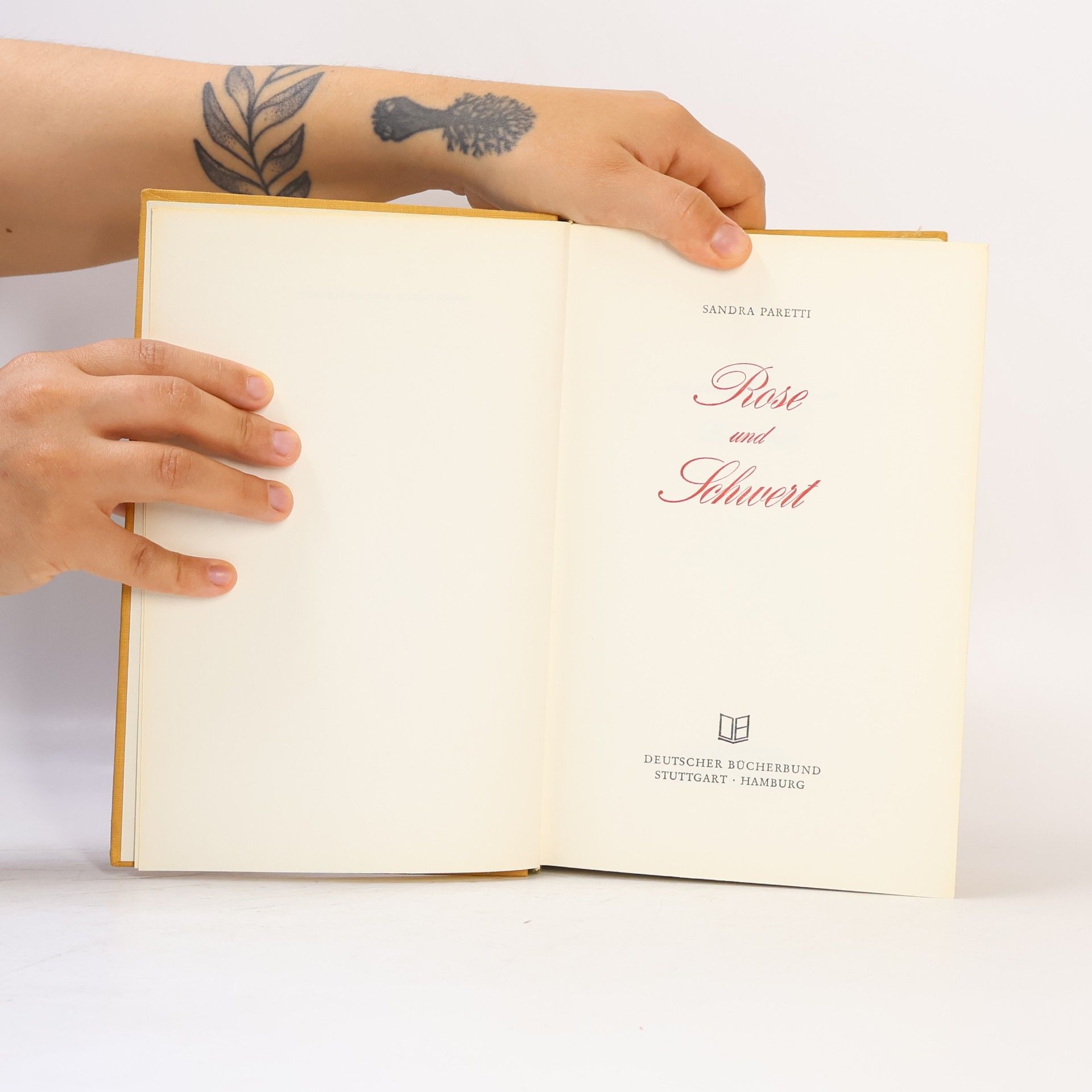 Sandra Paretti Rose und Schvwert