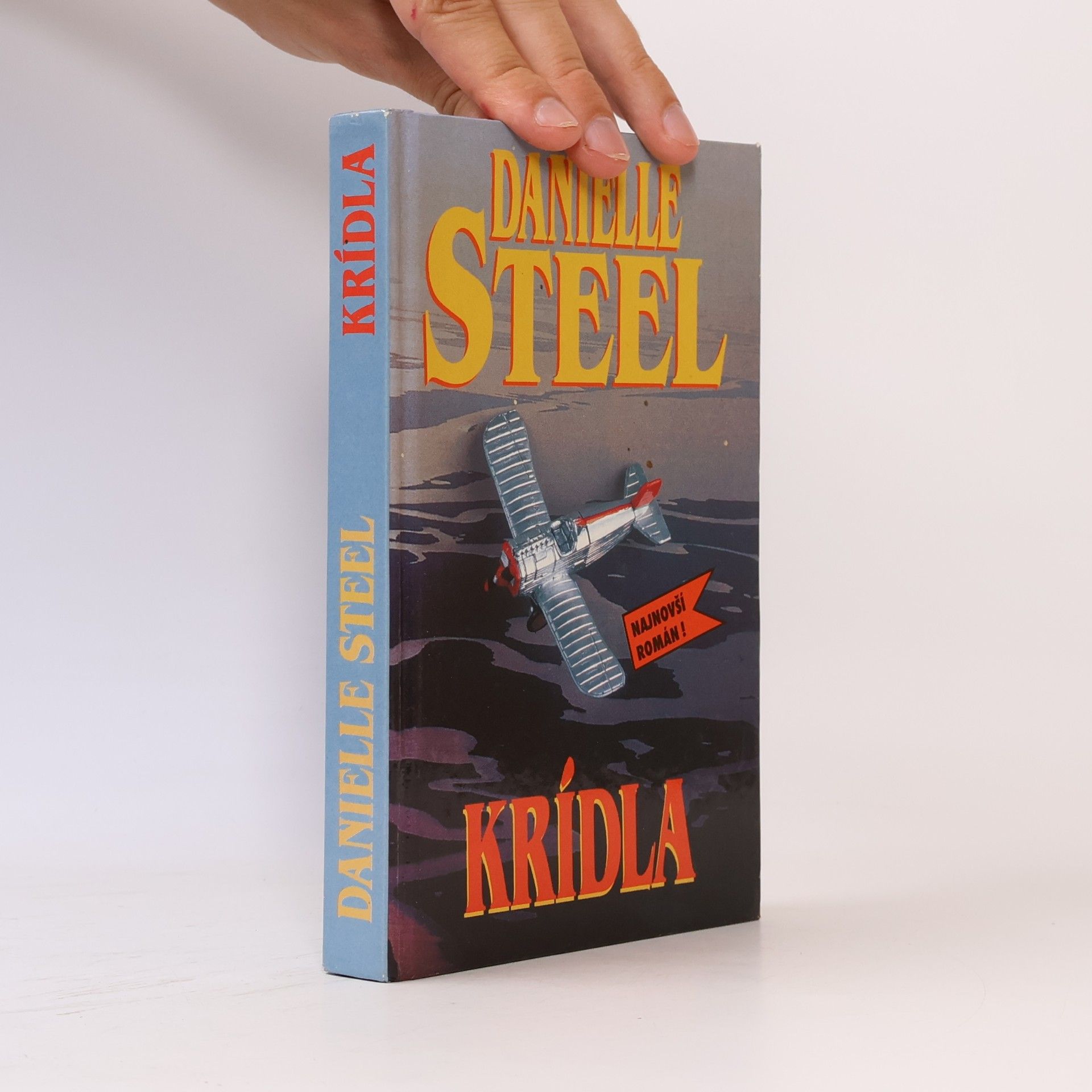 Danielle Steel Krídla