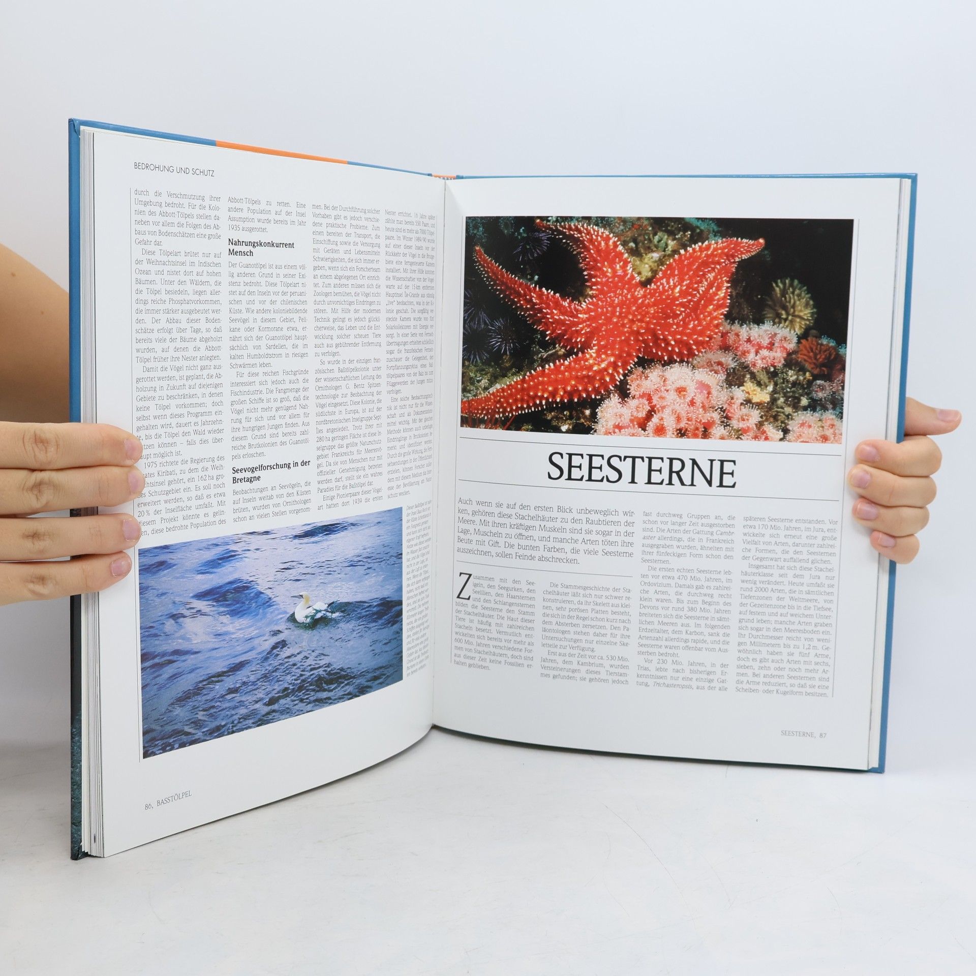 Autores varios Lebendige Wildnis : Tiere der Meeresküsten