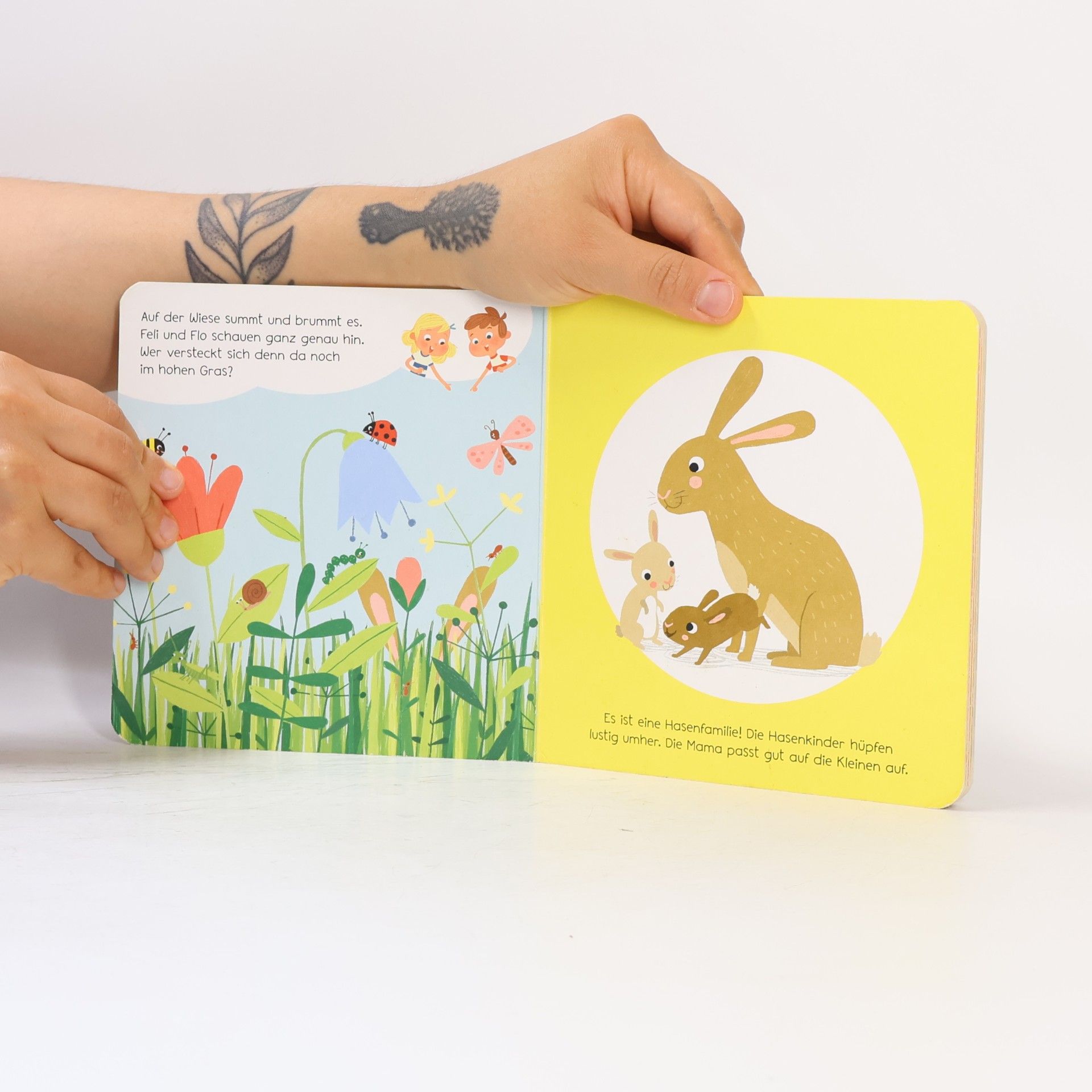 Tina Schulte Entdecke die Tiere mit Feli und Flo
